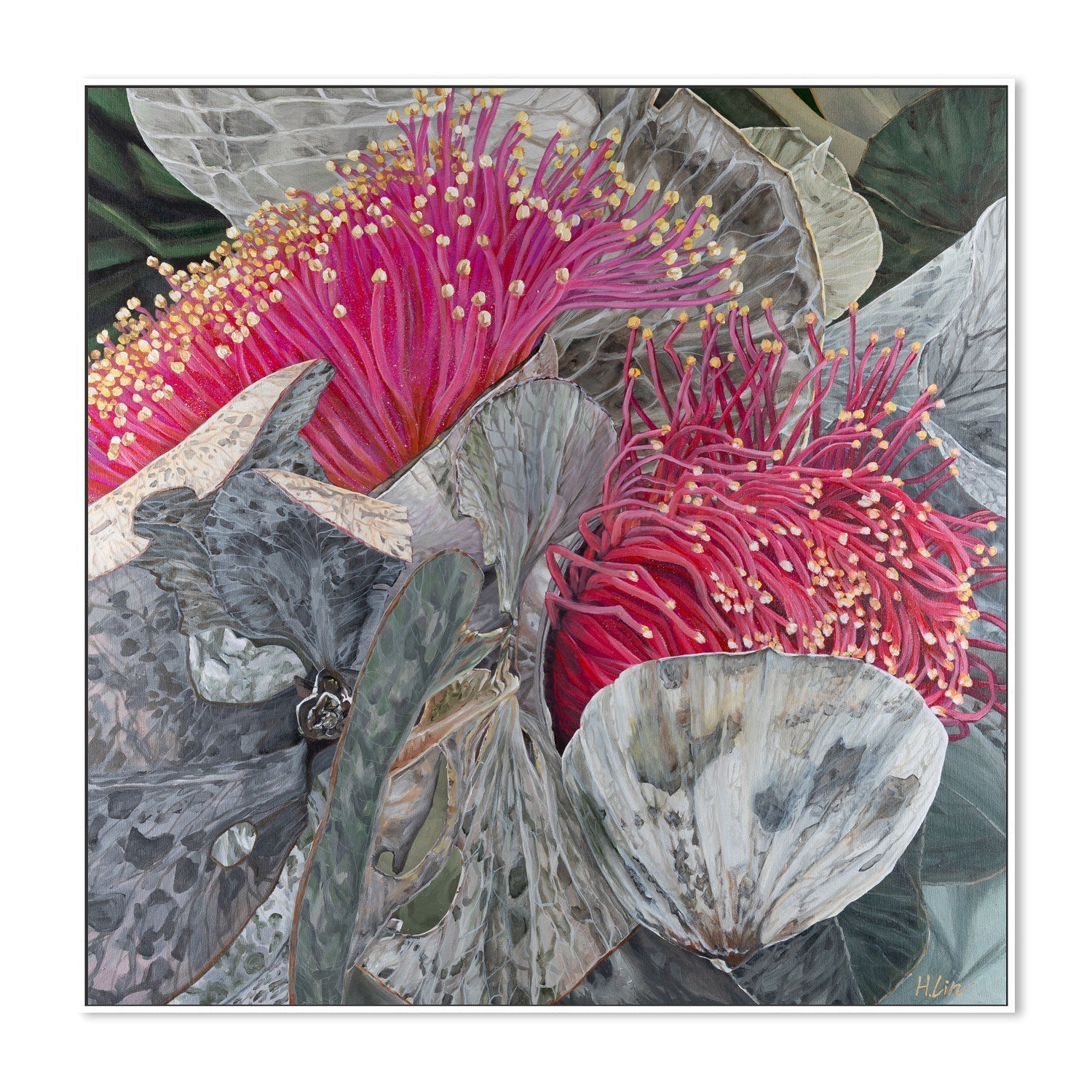 wall-art-print-canvas-poster-framed-Eucalyptus Macrocarpa , By Hsin Lin-GIOIA-WALL-ART