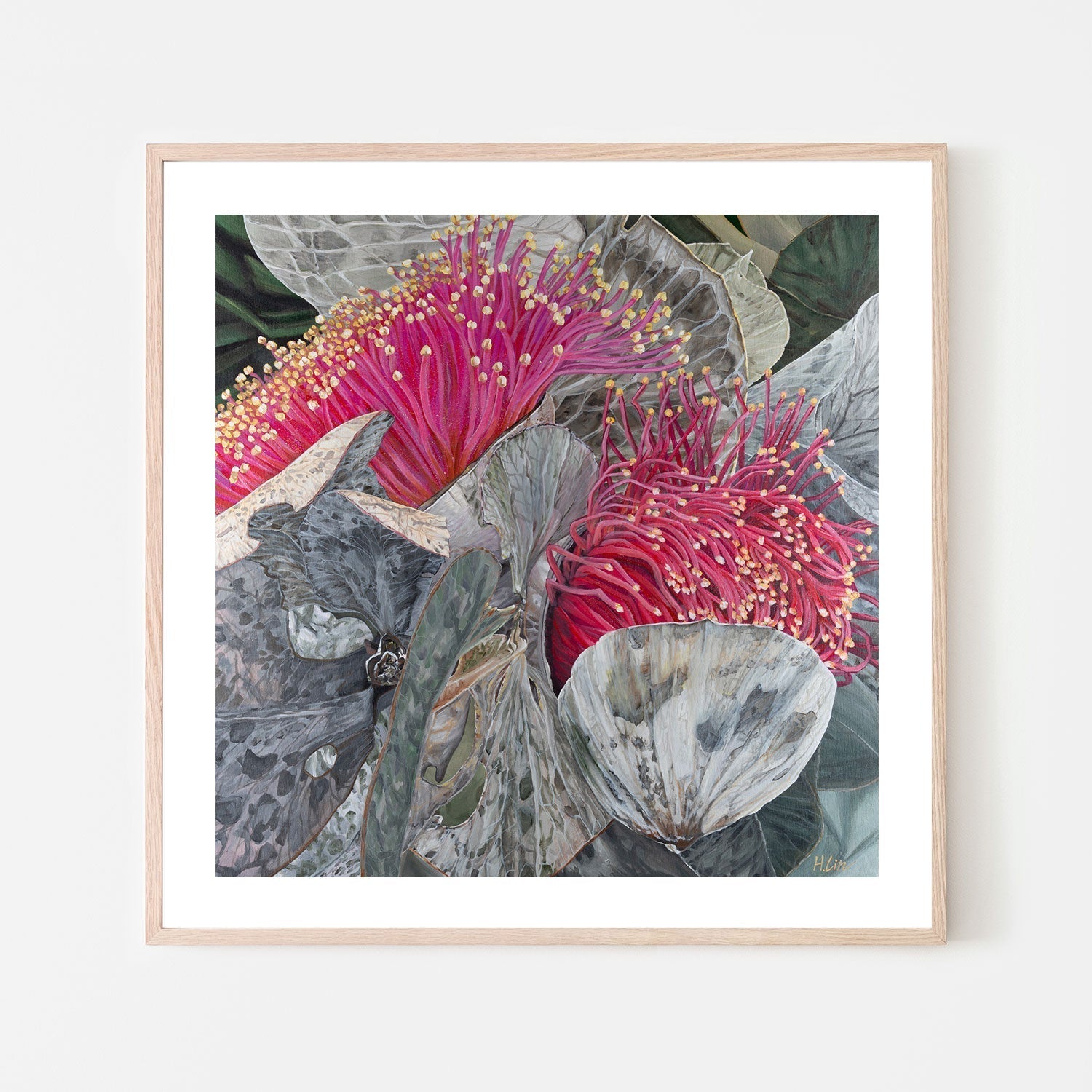 wall-art-print-canvas-poster-framed-Eucalyptus Macrocarpa , By Hsin Lin-GIOIA-WALL-ART