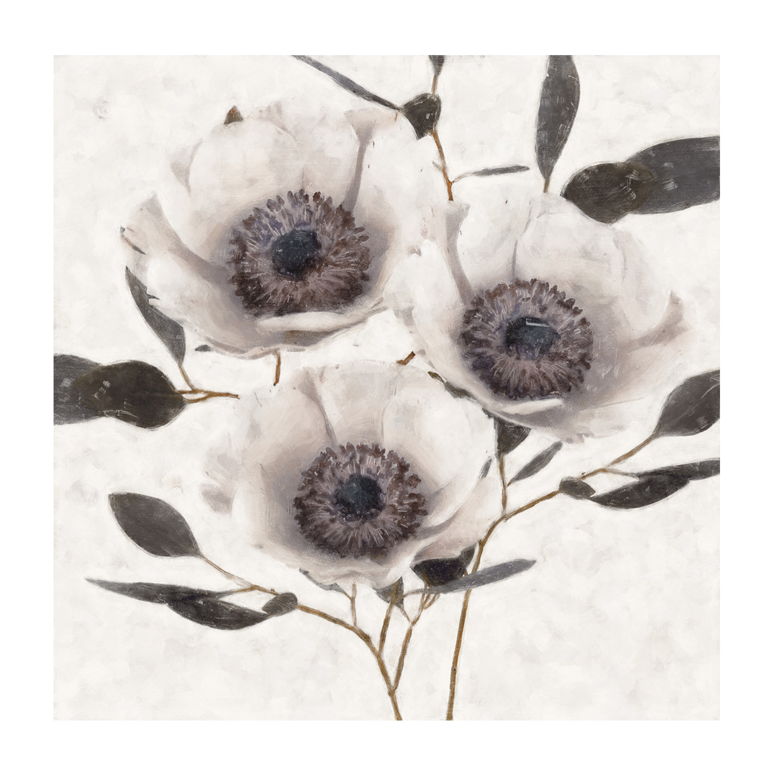 wall-art-print-canvas-poster-framed-Fable Anemone, Style A , By Nina Blue-1