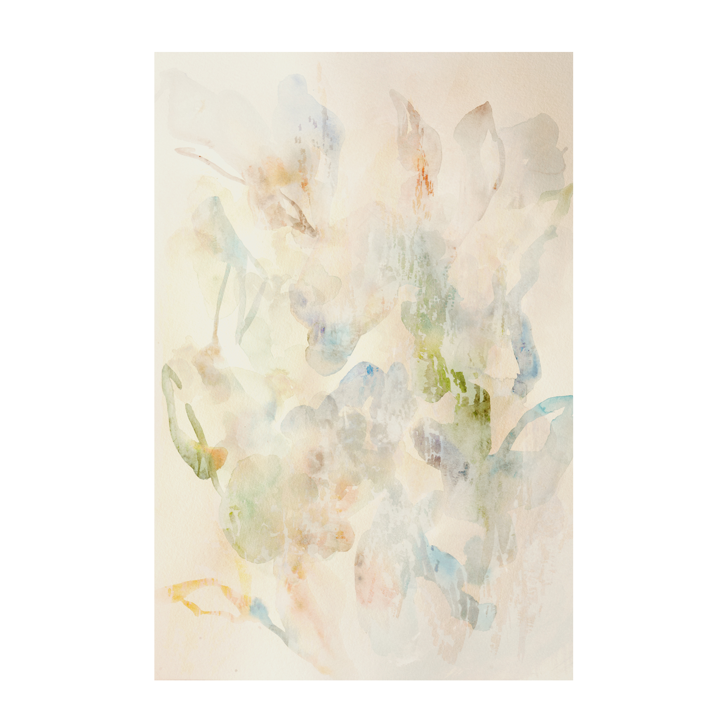 wall-art-print-canvas-poster-framed-Faded Floral , By Hope Bainbridge-1