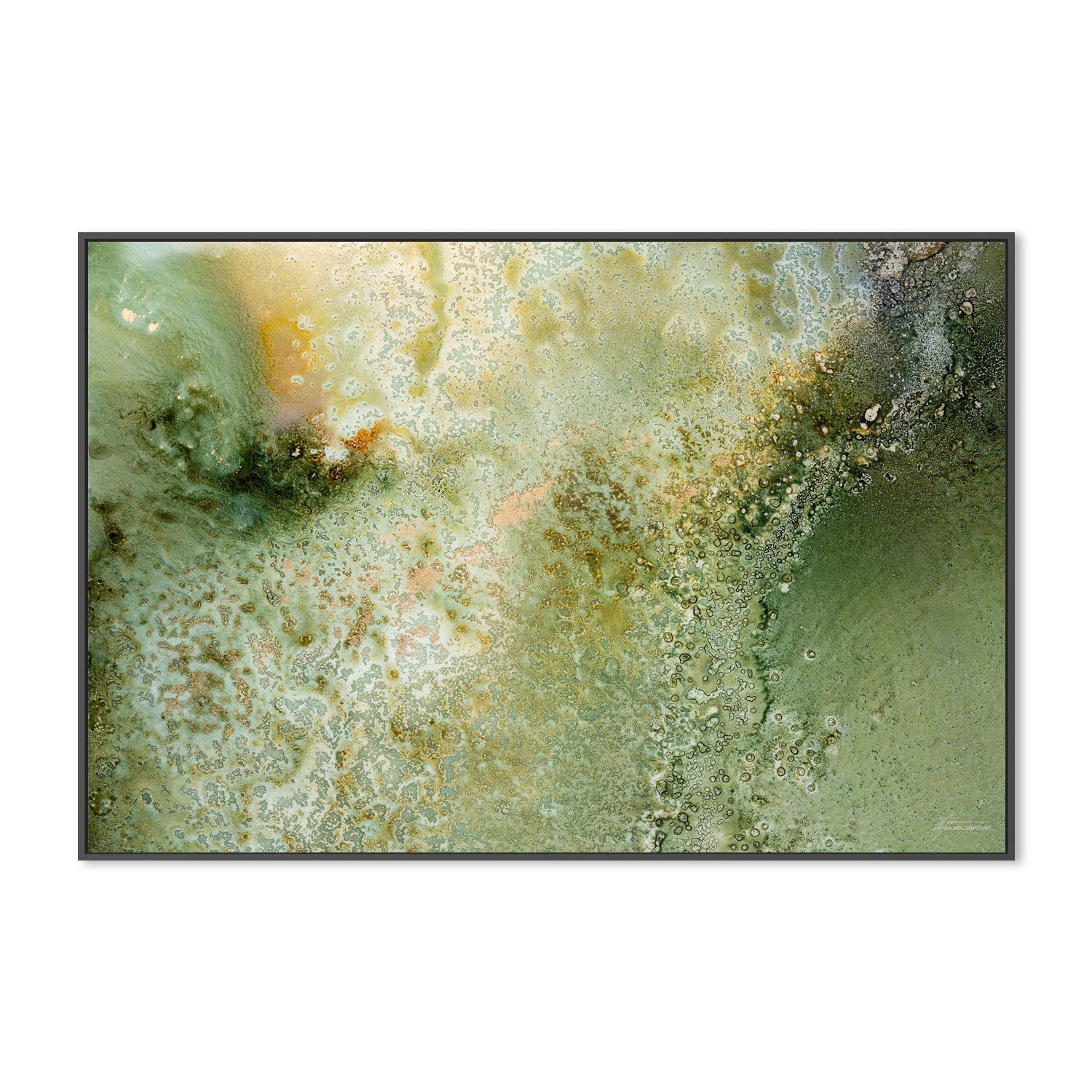 wall-art-print-canvas-poster-framed-Fern , By Jayda Koludrovic-3