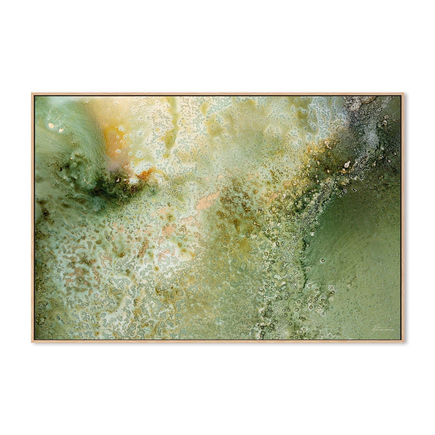 wall-art-print-canvas-poster-framed-Fern , By Jayda Koludrovic-4