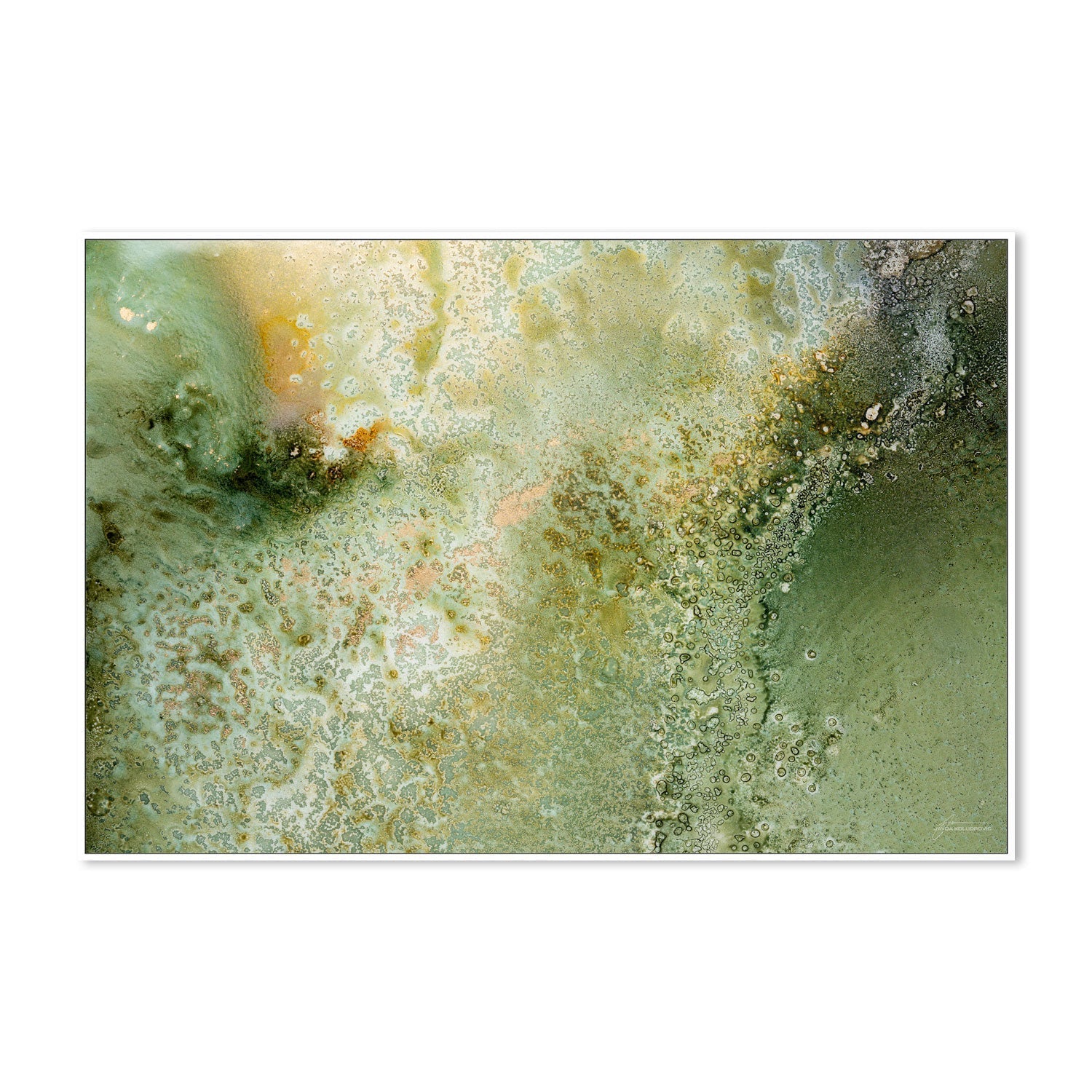 wall-art-print-canvas-poster-framed-Fern , By Jayda Koludrovic-5