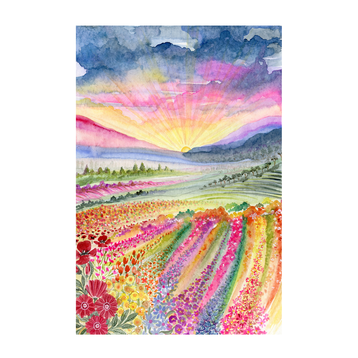 wall-art-print-canvas-poster-framed-Field Of Colour , By Jessie Mitchelson-GIOIA-WALL-ART