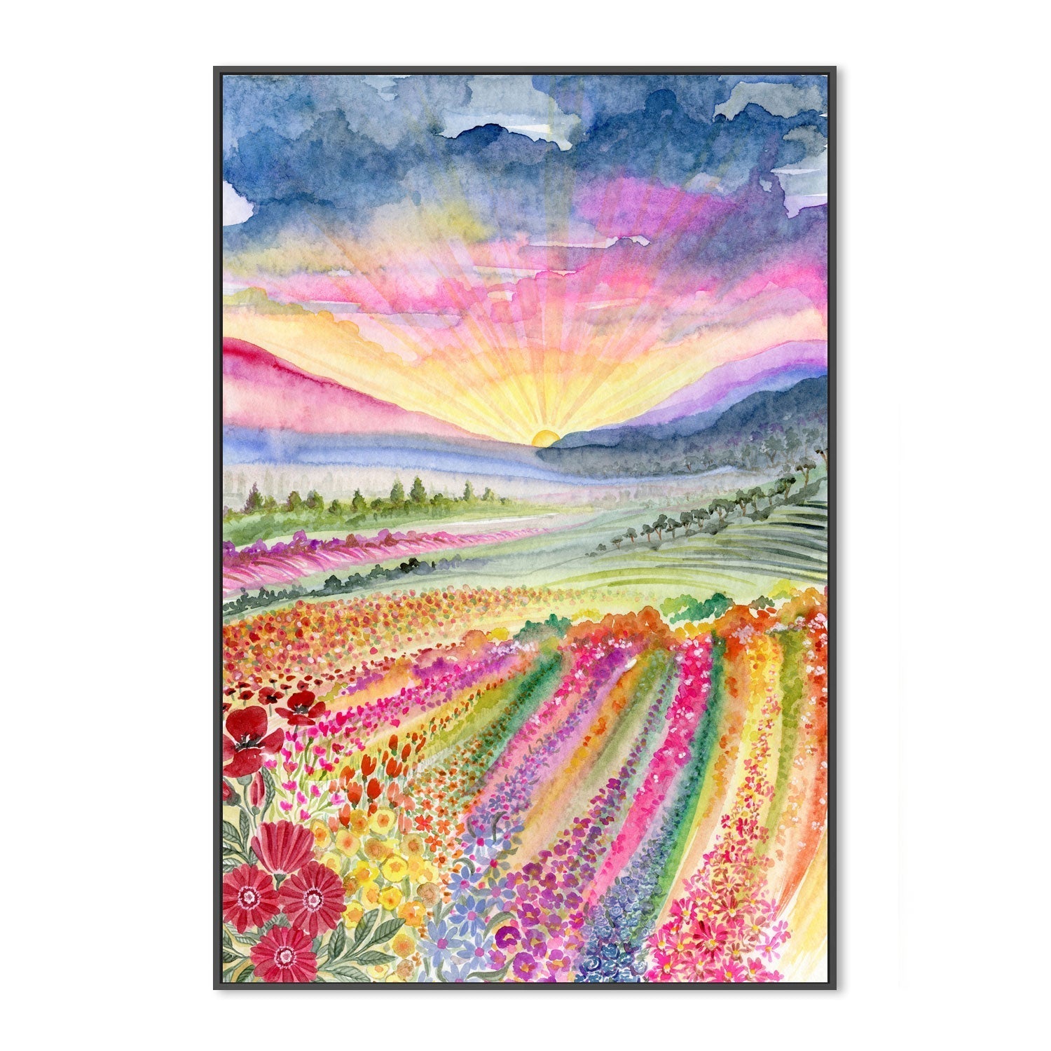 wall-art-print-canvas-poster-framed-Field Of Colour , By Jessie Mitchelson-GIOIA-WALL-ART