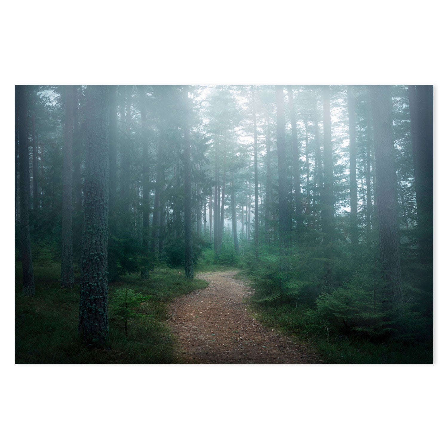 wall-art-print-canvas-poster-framed-Forest Of Secrets , By Christian Lindsten-GIOIA-WALL-ART