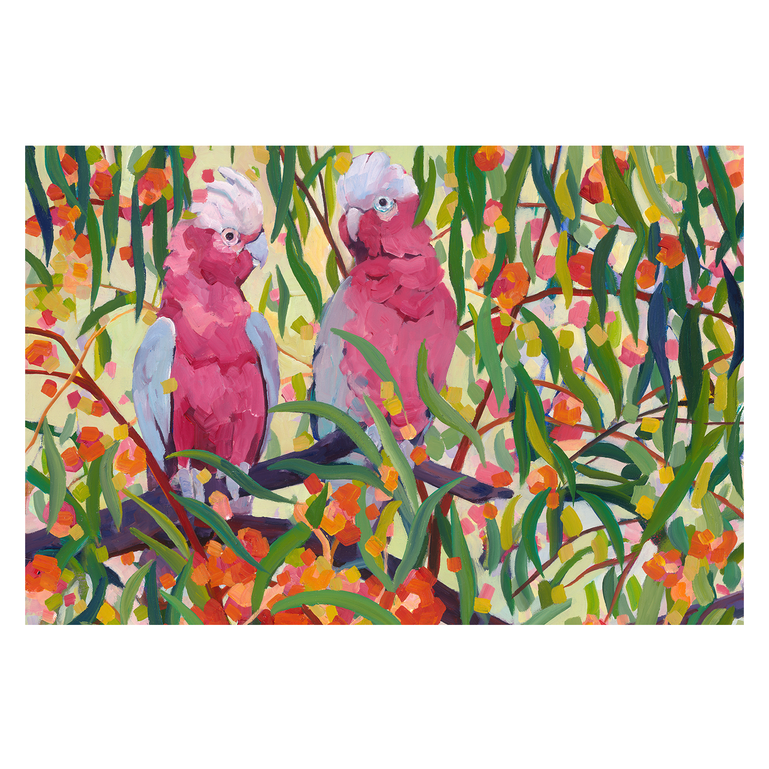 wall-art-print-canvas-poster-framed-Galahs , By Mellissa Read-Devine , By Mellissa Read-Devine-1