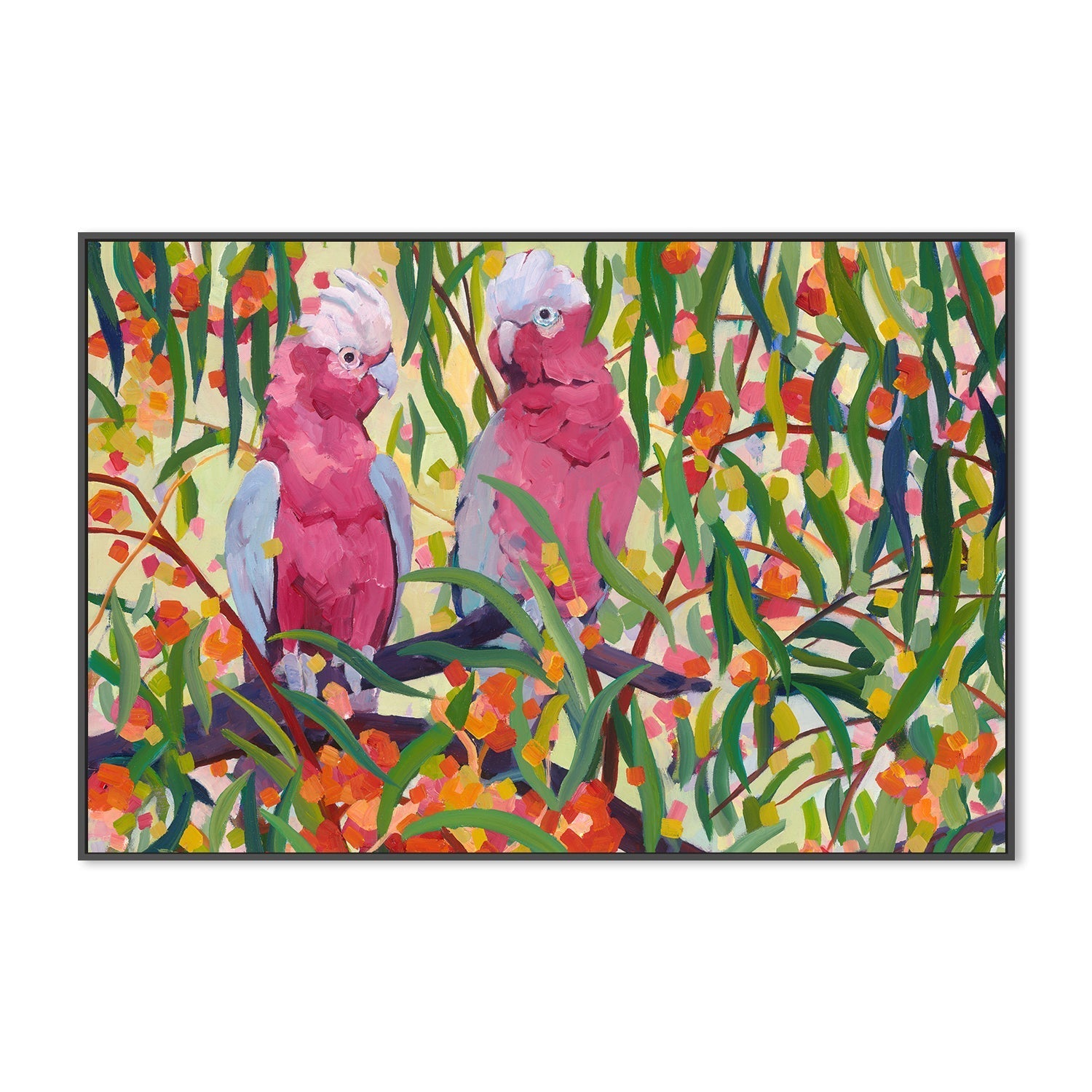 wall-art-print-canvas-poster-framed-Galahs , By Mellissa Read-Devine , By Mellissa Read-Devine-3