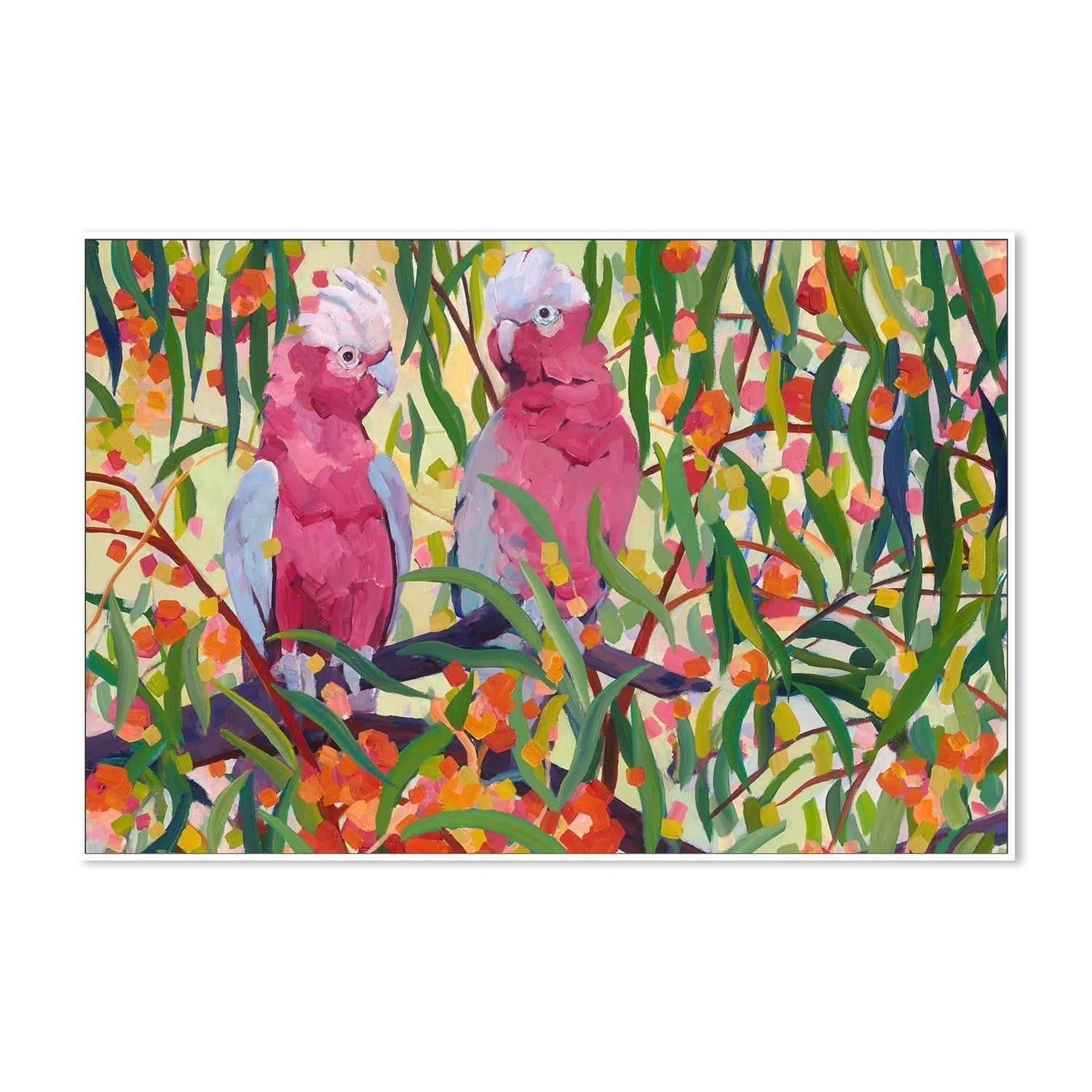 wall-art-print-canvas-poster-framed-Galahs , By Mellissa Read-Devine , By Mellissa Read-Devine-5