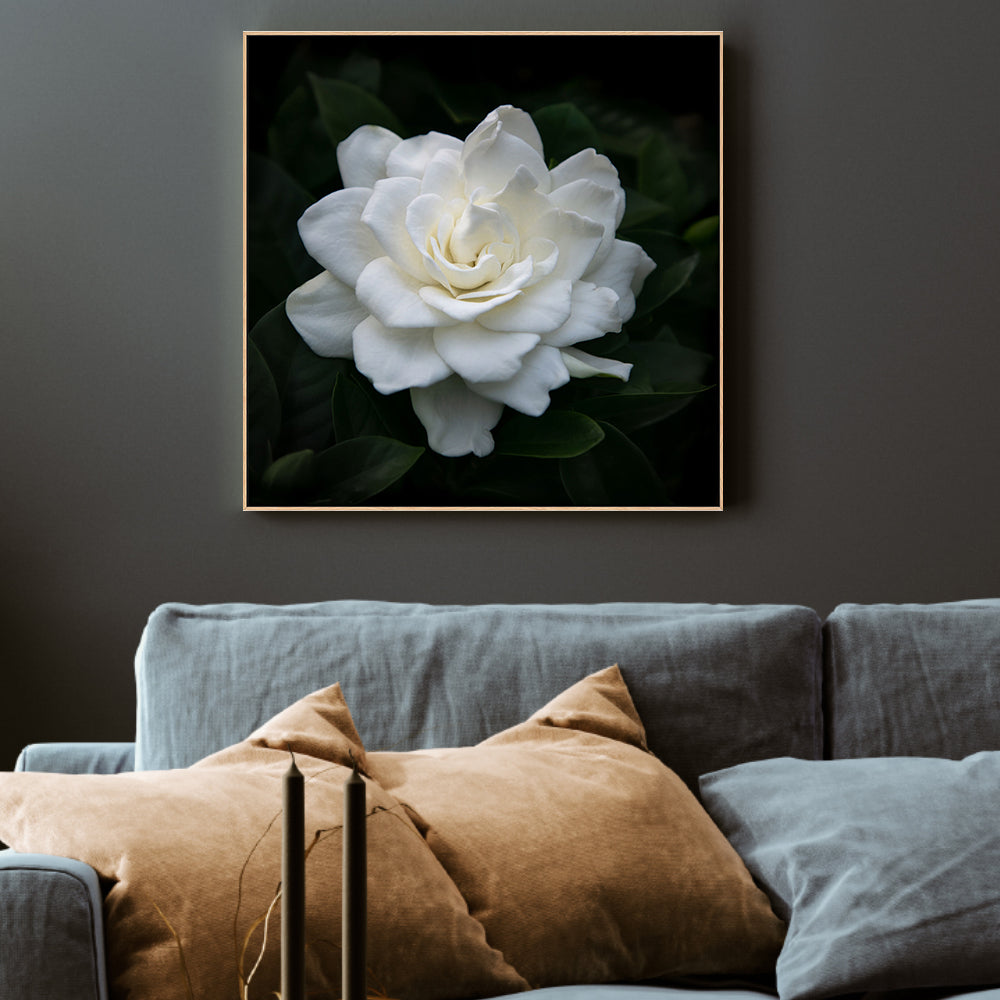 wall-art-print-canvas-poster-framed-Gardenia Florida , By Tricia Brennan-2