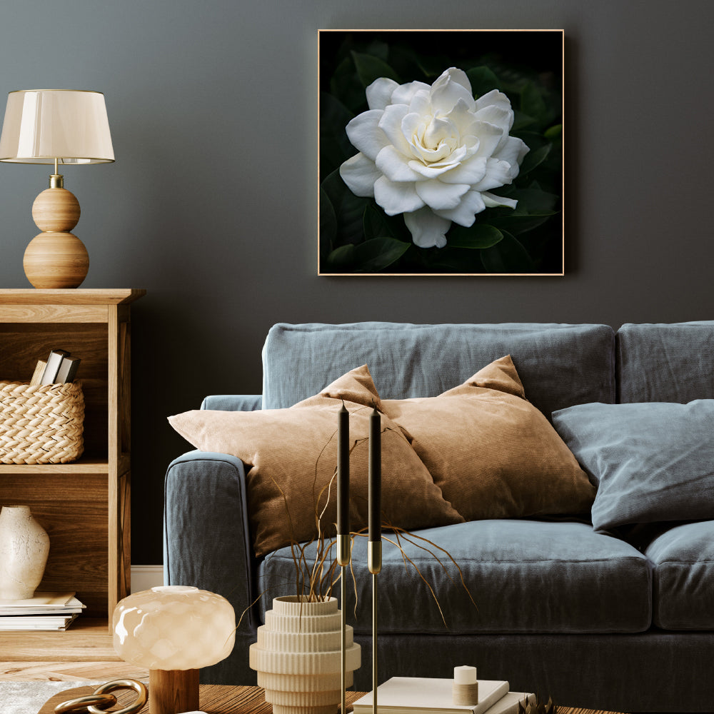 wall-art-print-canvas-poster-framed-Gardenia Florida , By Tricia Brennan-7