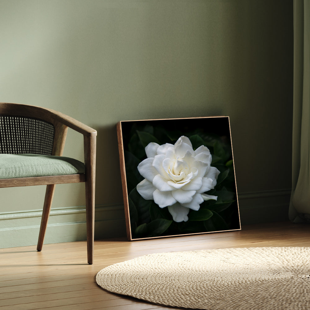 wall-art-print-canvas-poster-framed-Gardenia Florida , By Tricia Brennan-8