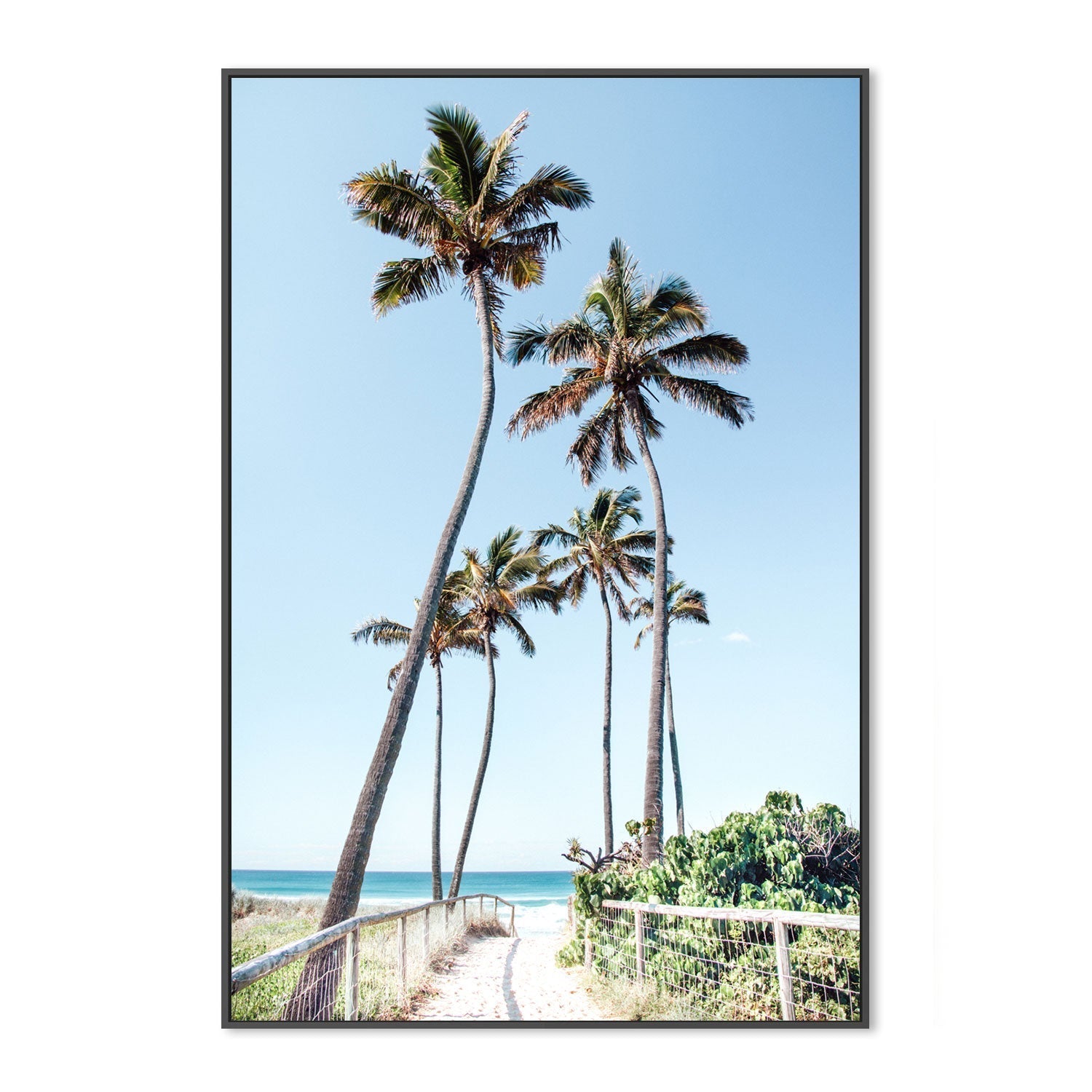 wall-art-print-canvas-poster-framed-Gold Coast Palms , By Kellie Morris-GIOIA-WALL-ART