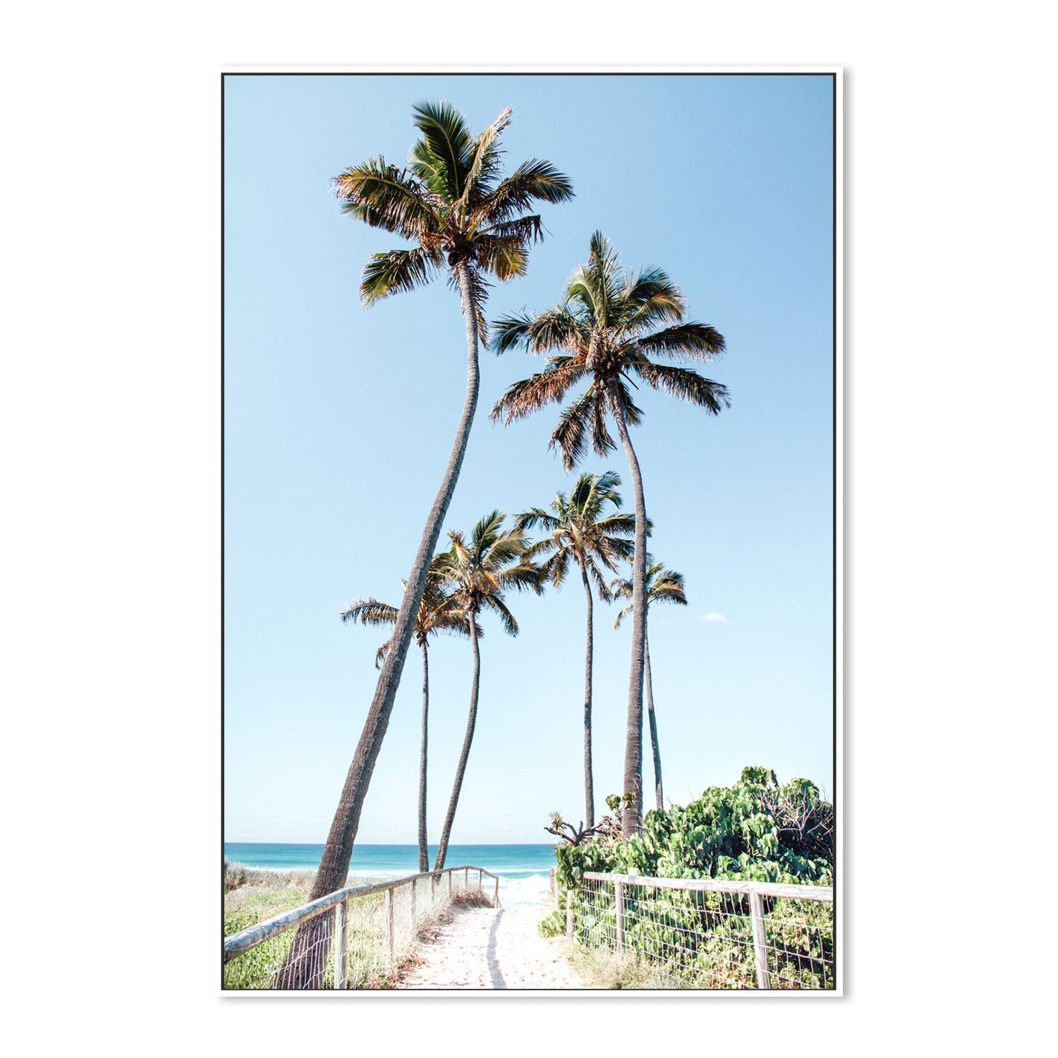 wall-art-print-canvas-poster-framed-Gold Coast Palms , By Kellie Morris-GIOIA-WALL-ART