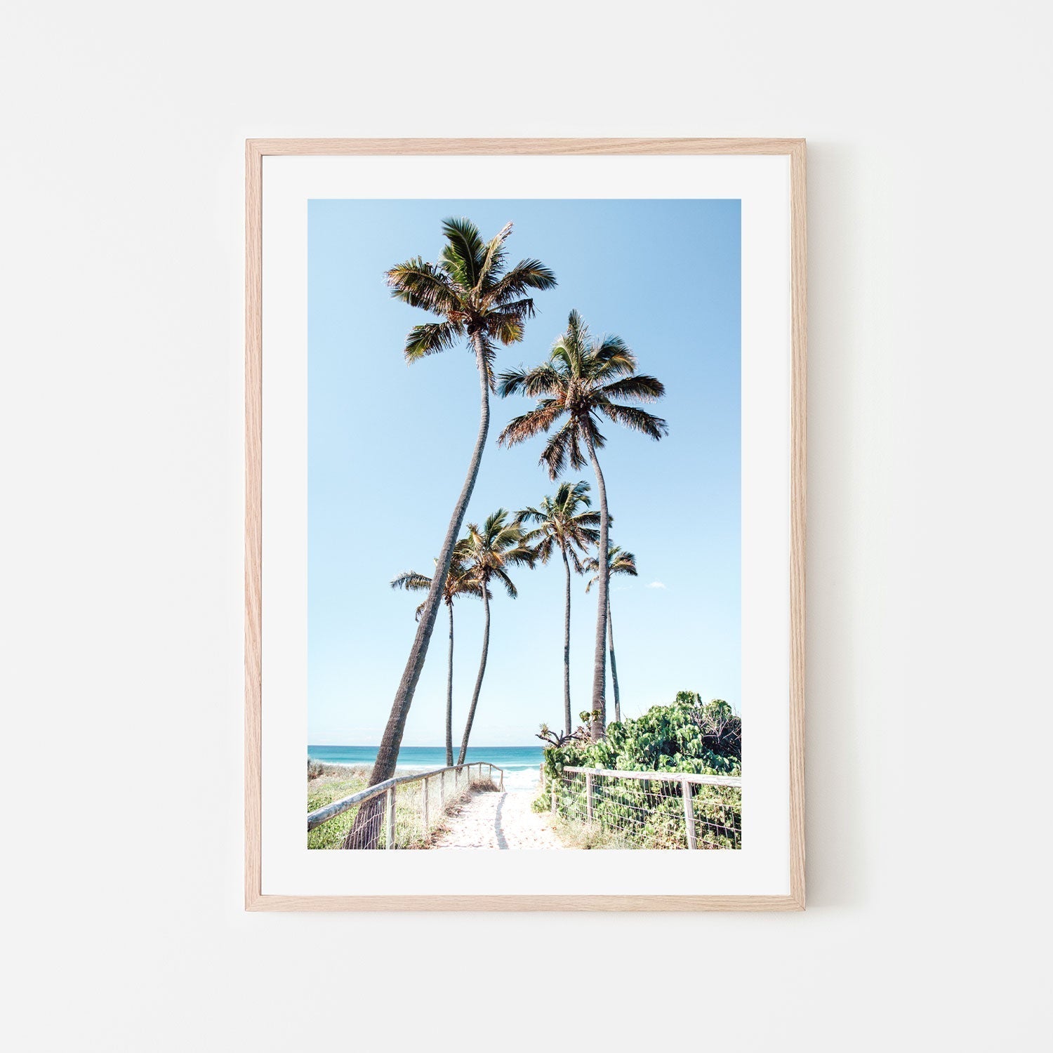 wall-art-print-canvas-poster-framed-Gold Coast Palms , By Kellie Morris-GIOIA-WALL-ART