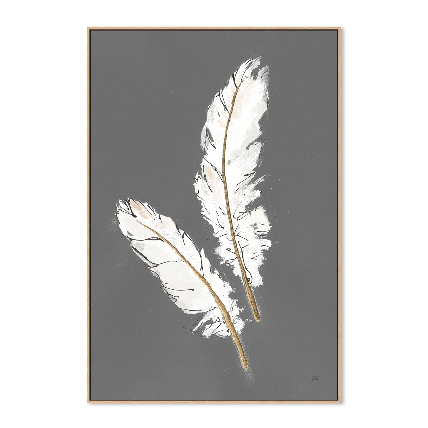 wall-art-print-canvas-poster-framed-Gold Feathers, Style A , By Chris Paschke-GIOIA-WALL-ART