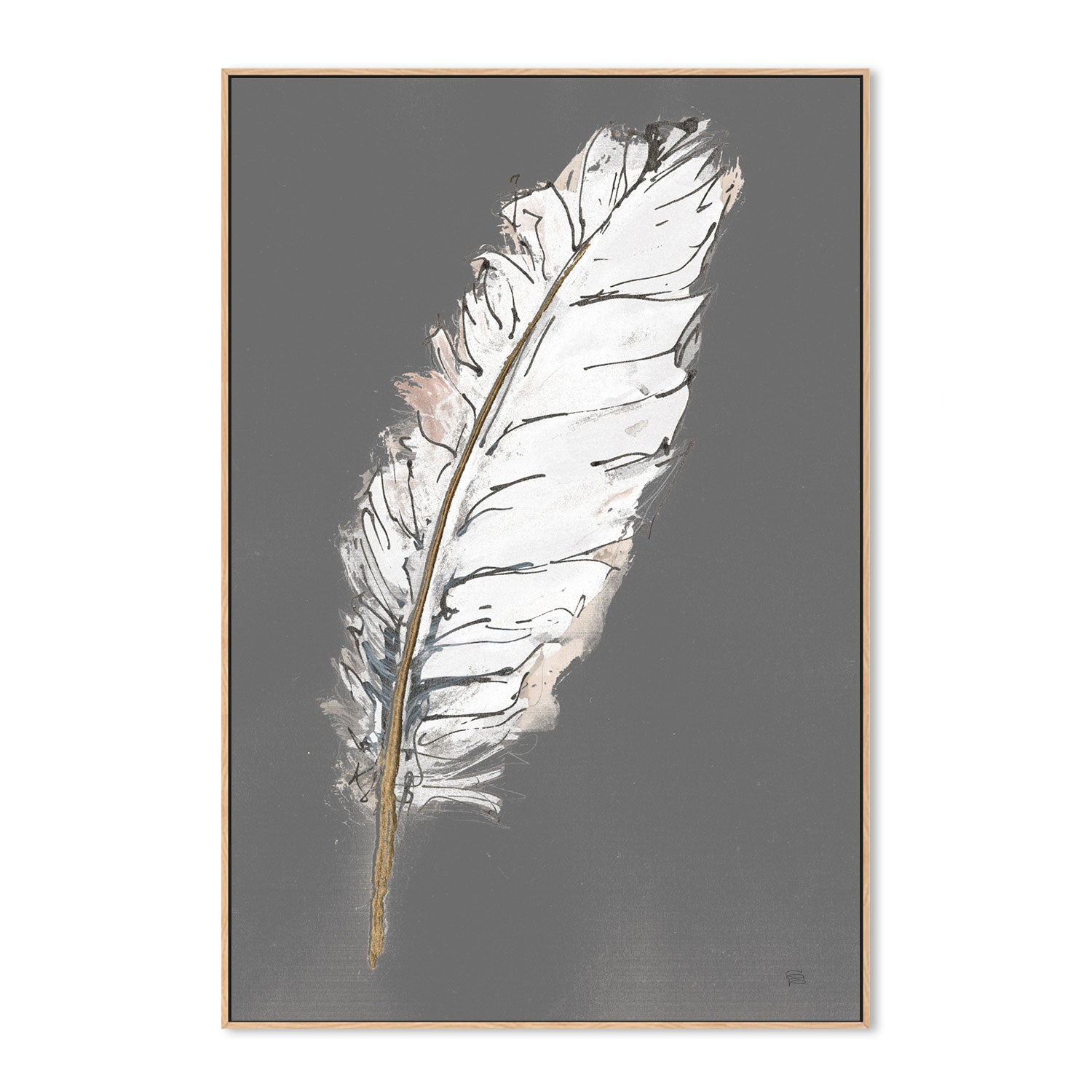 wall-art-print-canvas-poster-framed-Gold Feathers, Style B , By Chris Paschke-GIOIA-WALL-ART