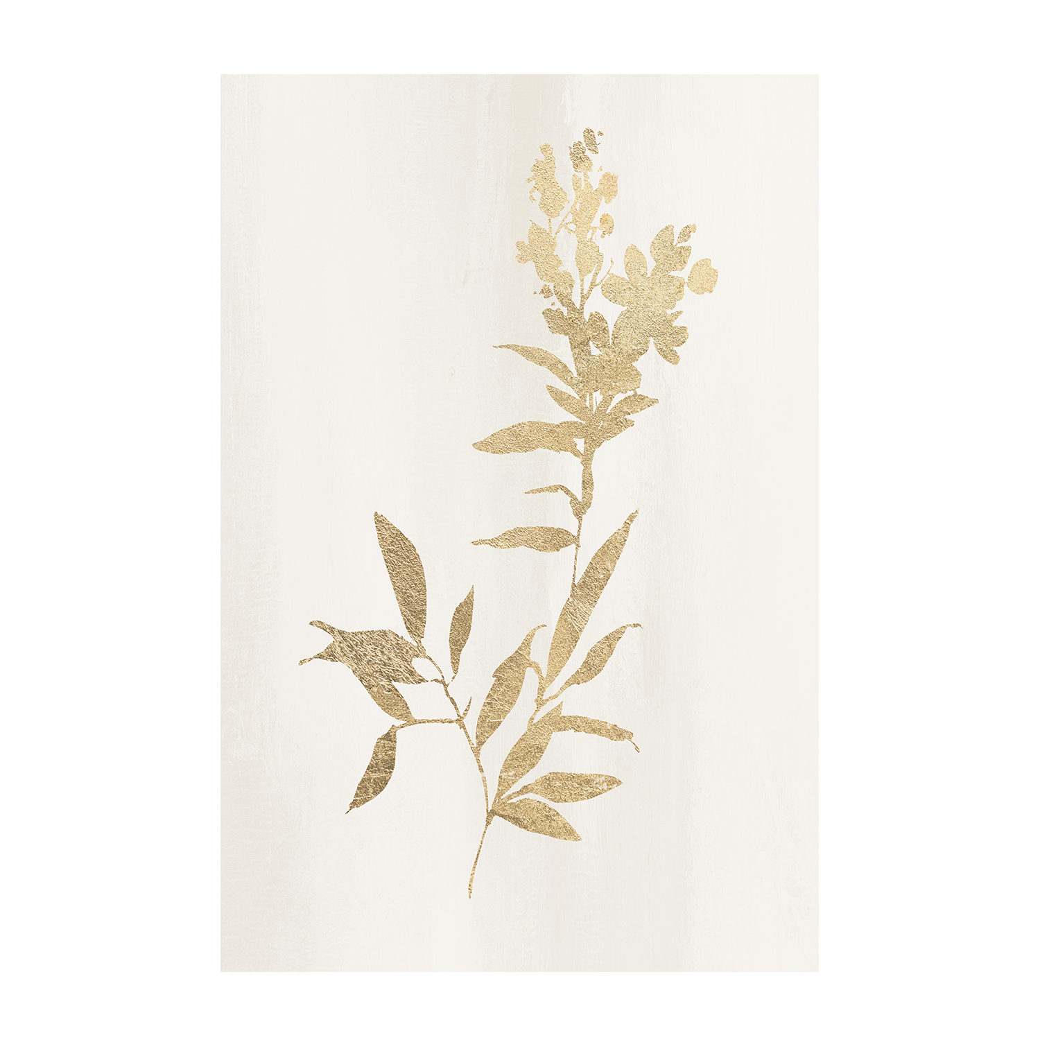 wall-art-print-canvas-poster-framed-Golden Botanical, Style A & B, Set of 2 , By Nina Blue-8