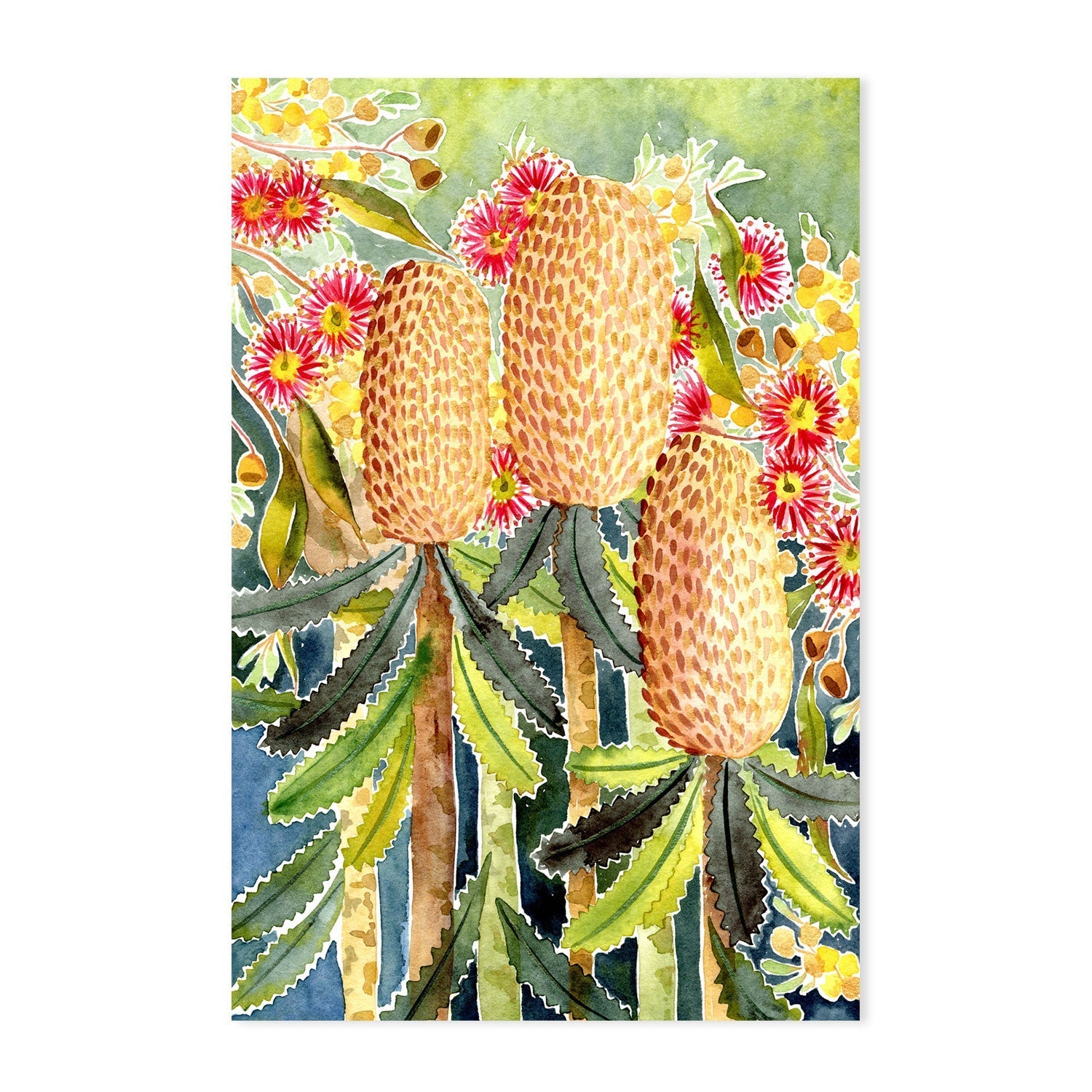 Green Banksia Bunch , By Jessie Mitchelson