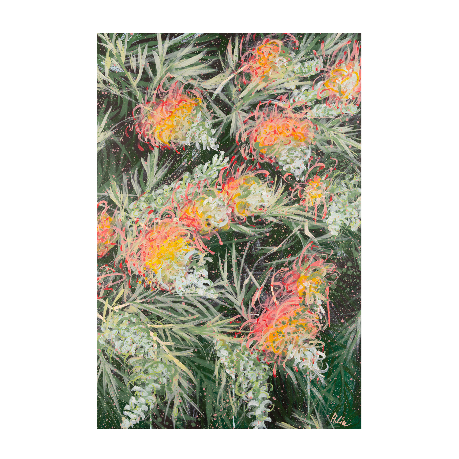 wall-art-print-canvas-poster-framed-Grevillea Peaches and Cream , By Hsin Lin-GIOIA-WALL-ART