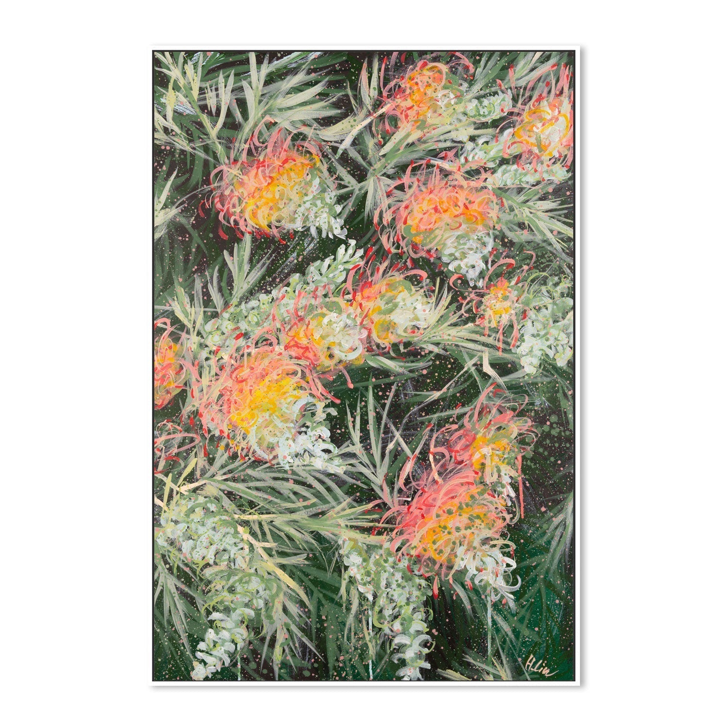 wall-art-print-canvas-poster-framed-Grevillea Peaches and Cream , By Hsin Lin-GIOIA-WALL-ART