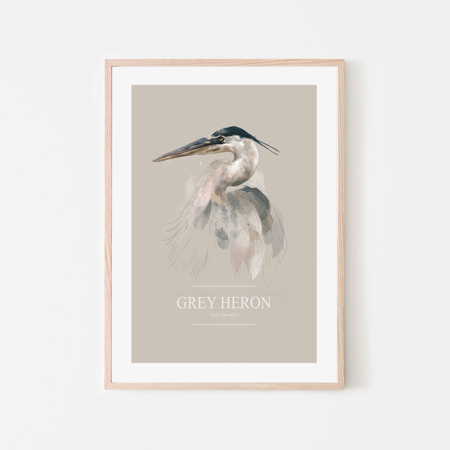 wall-art-print-canvas-poster-framed-Grey Heron , By Gabriella Roberg-6