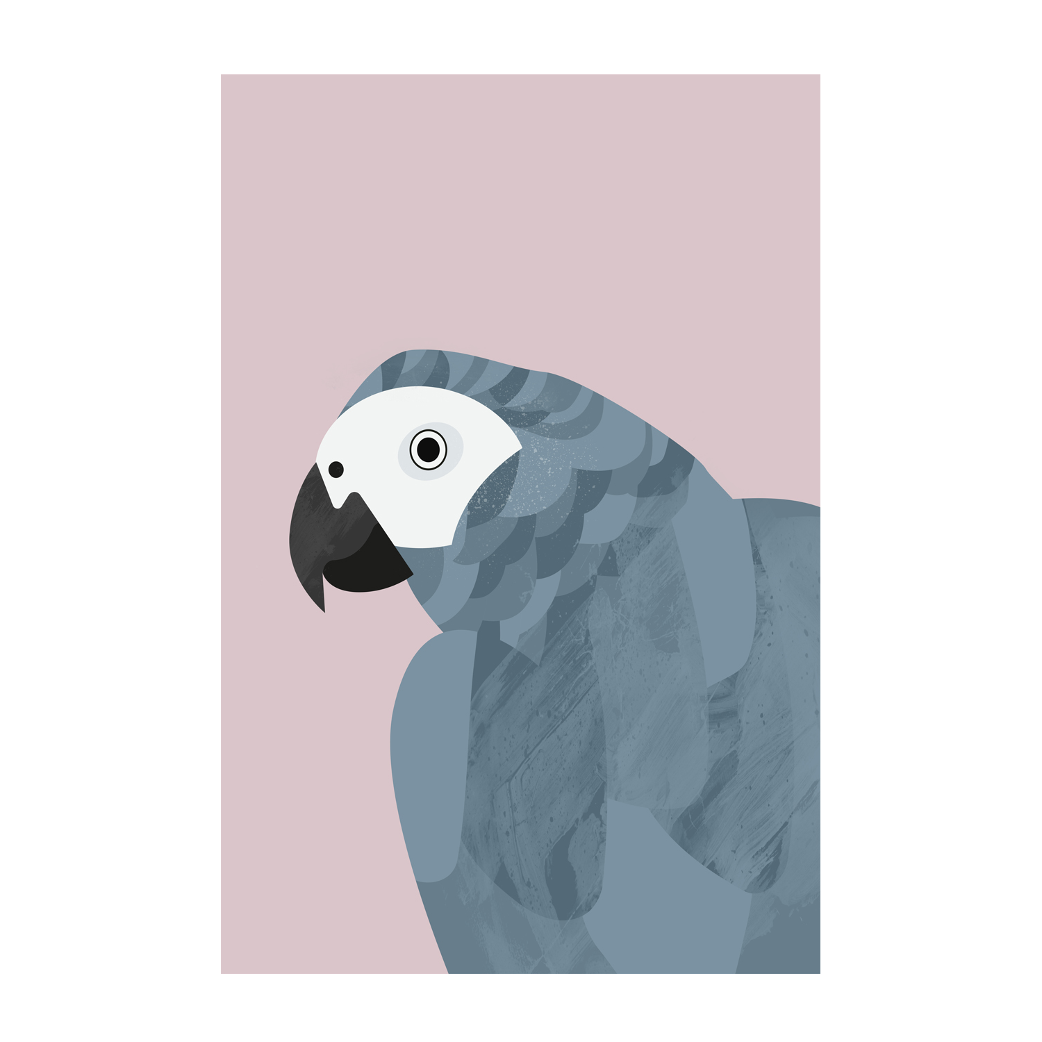 wall-art-print-canvas-poster-framed-Grey Macaw , By Dan Hobday-GIOIA-WALL-ART