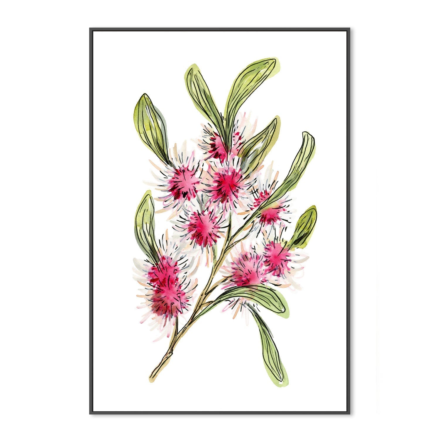 wall-art-print-canvas-poster-framed-Hakea Laurina , By Jessie Mitchelson-GIOIA-WALL-ART