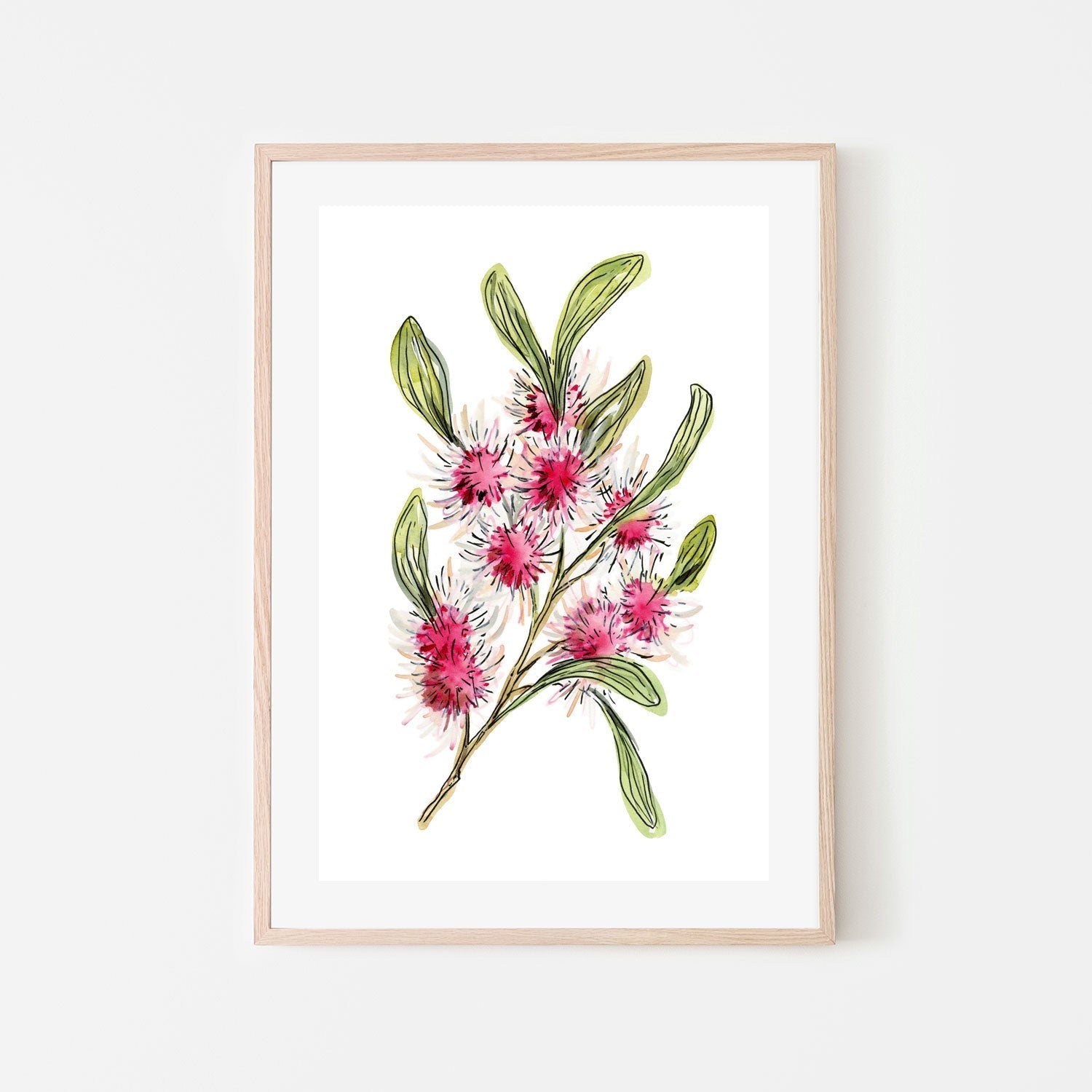 wall-art-print-canvas-poster-framed-Hakea Laurina , By Jessie Mitchelson-GIOIA-WALL-ART