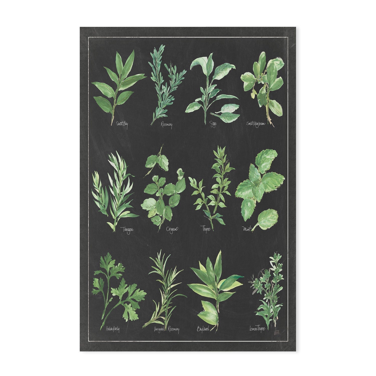 wall-art-print-canvas-poster-framed-Herb Chart , By Chris Paschke-GIOIA-WALL-ART