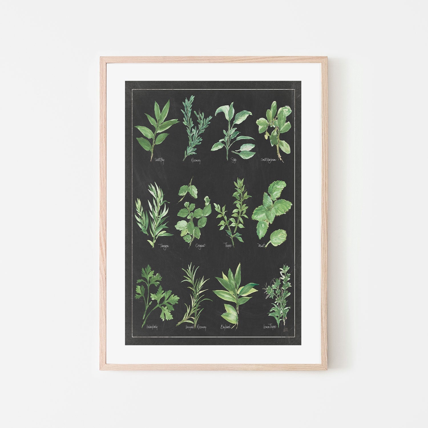 wall-art-print-canvas-poster-framed-Herb Chart , By Chris Paschke-GIOIA-WALL-ART