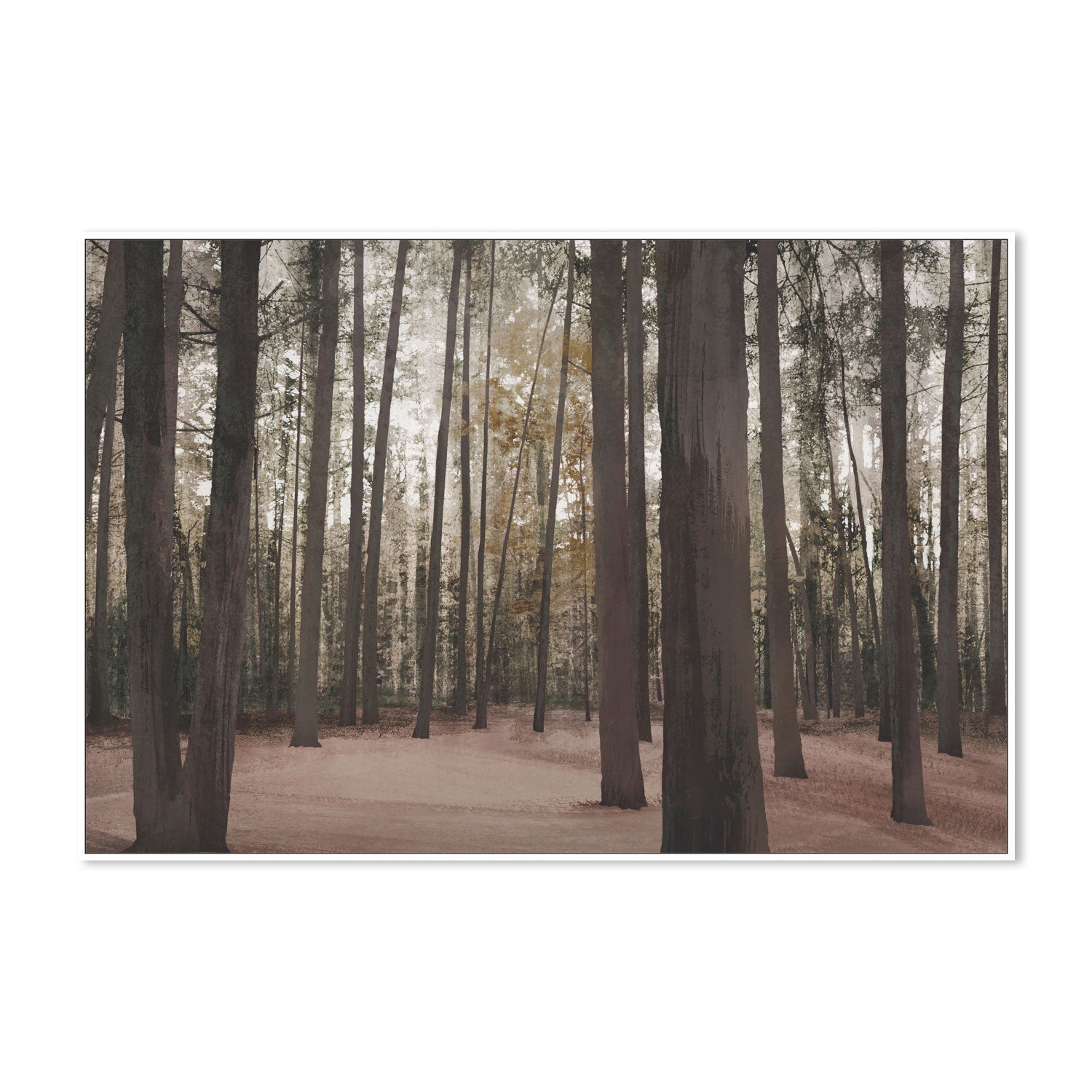 wall-art-print-canvas-poster-framed-Hollybank Forest Tasmania , By Dear Musketeer Studio-5