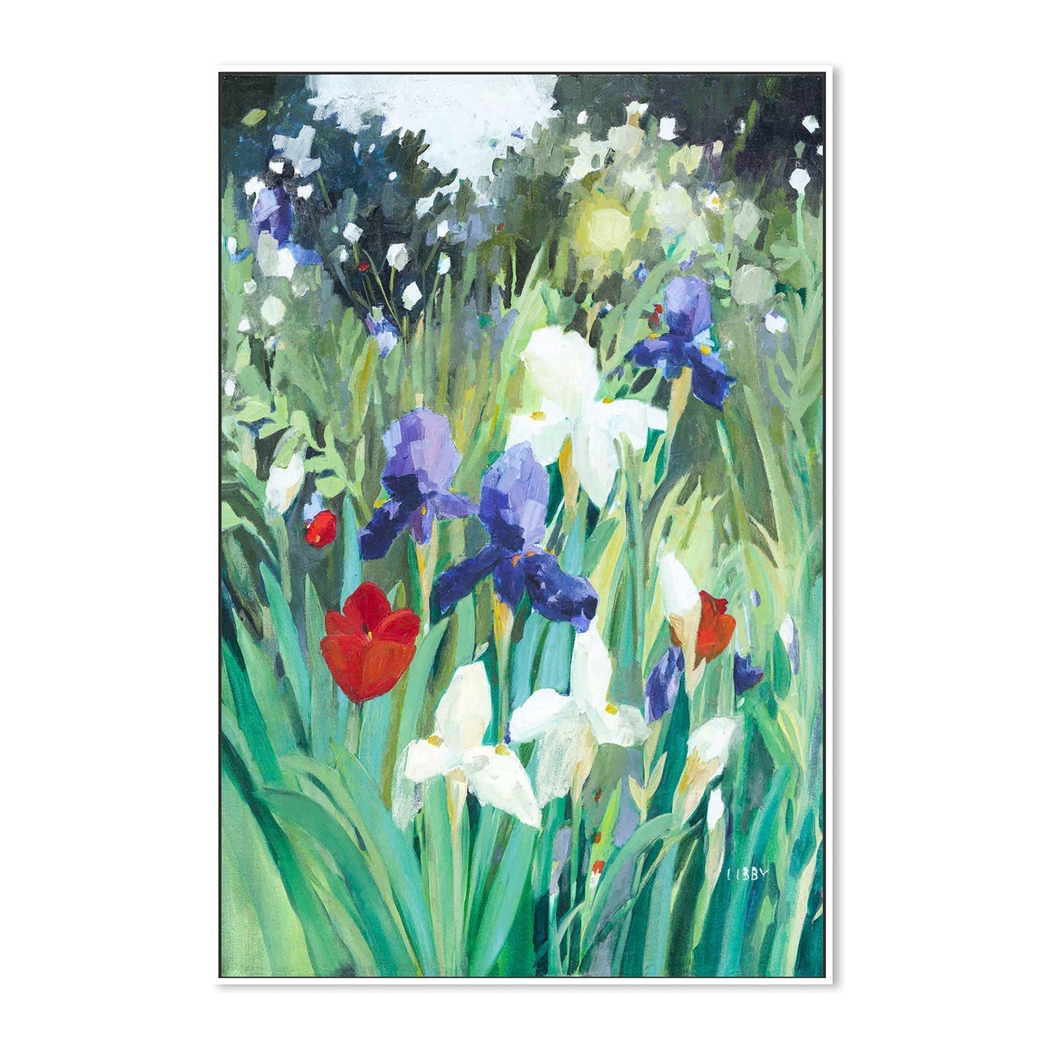 wall-art-print-canvas-poster-framed-Iris Day , By Libby Anderson-GIOIA-WALL-ART