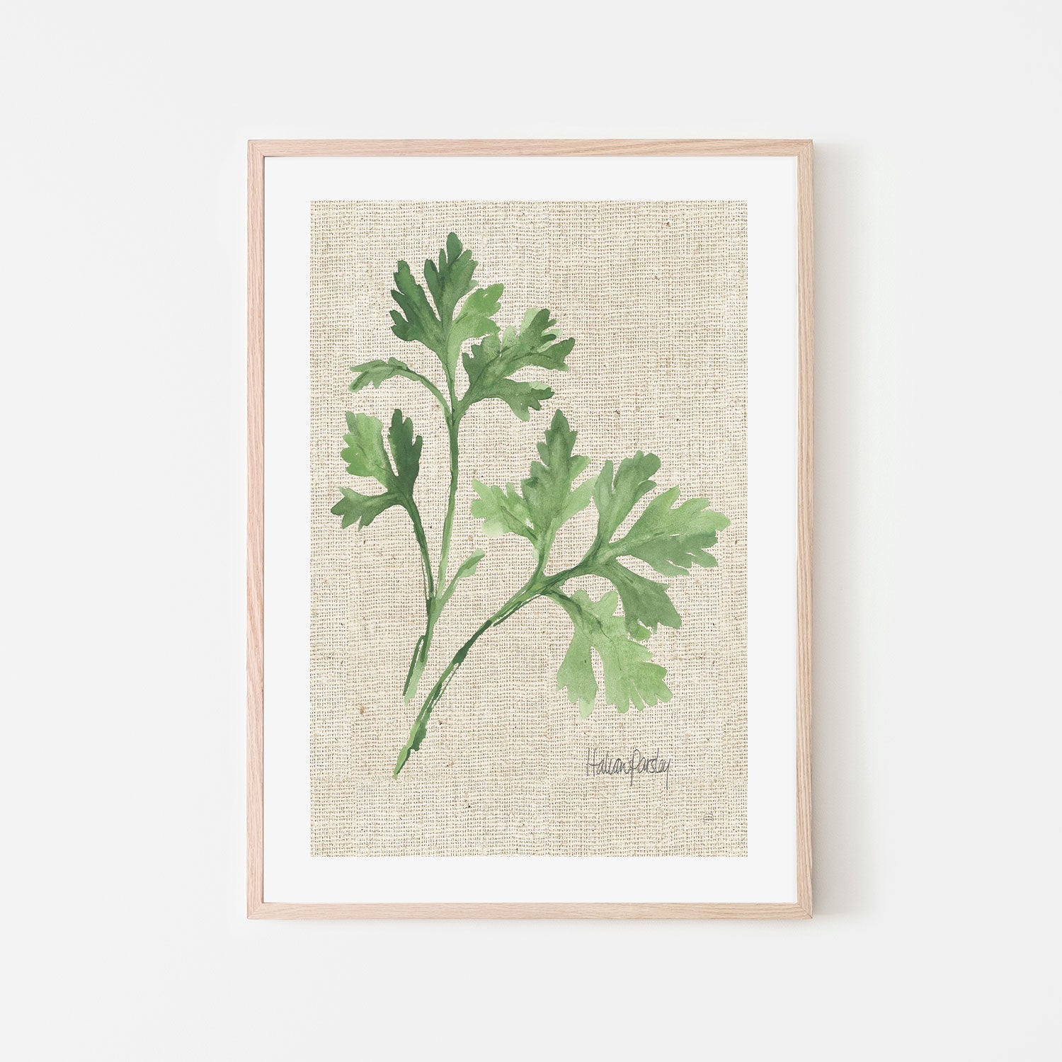 wall-art-print-canvas-poster-framed-Italian Parsley , By Chris Paschke-GIOIA-WALL-ART