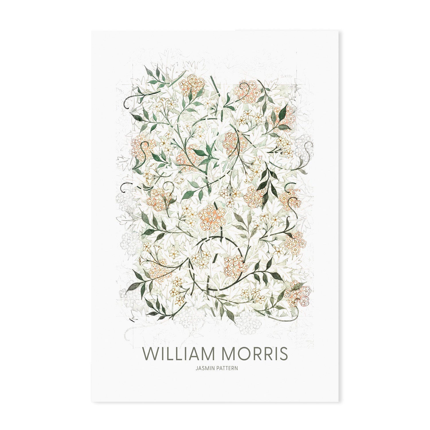 wall-art-print-canvas-poster-framed-Jasmine , By William Morris-GIOIA-WALL-ART