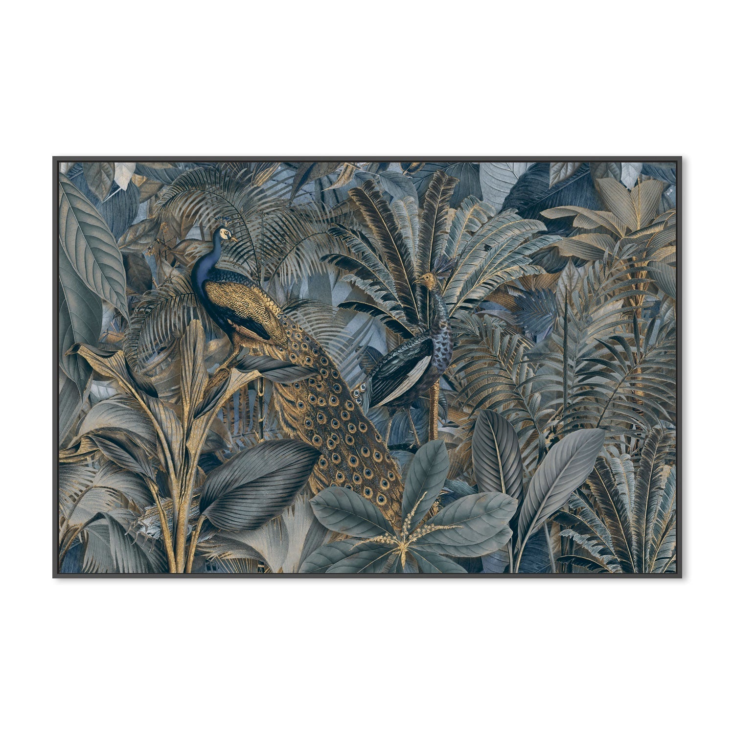 wall-art-print-canvas-poster-framed-Jungle Birds In Gold, By Andrea Haase-GIOIA-WALL-ART