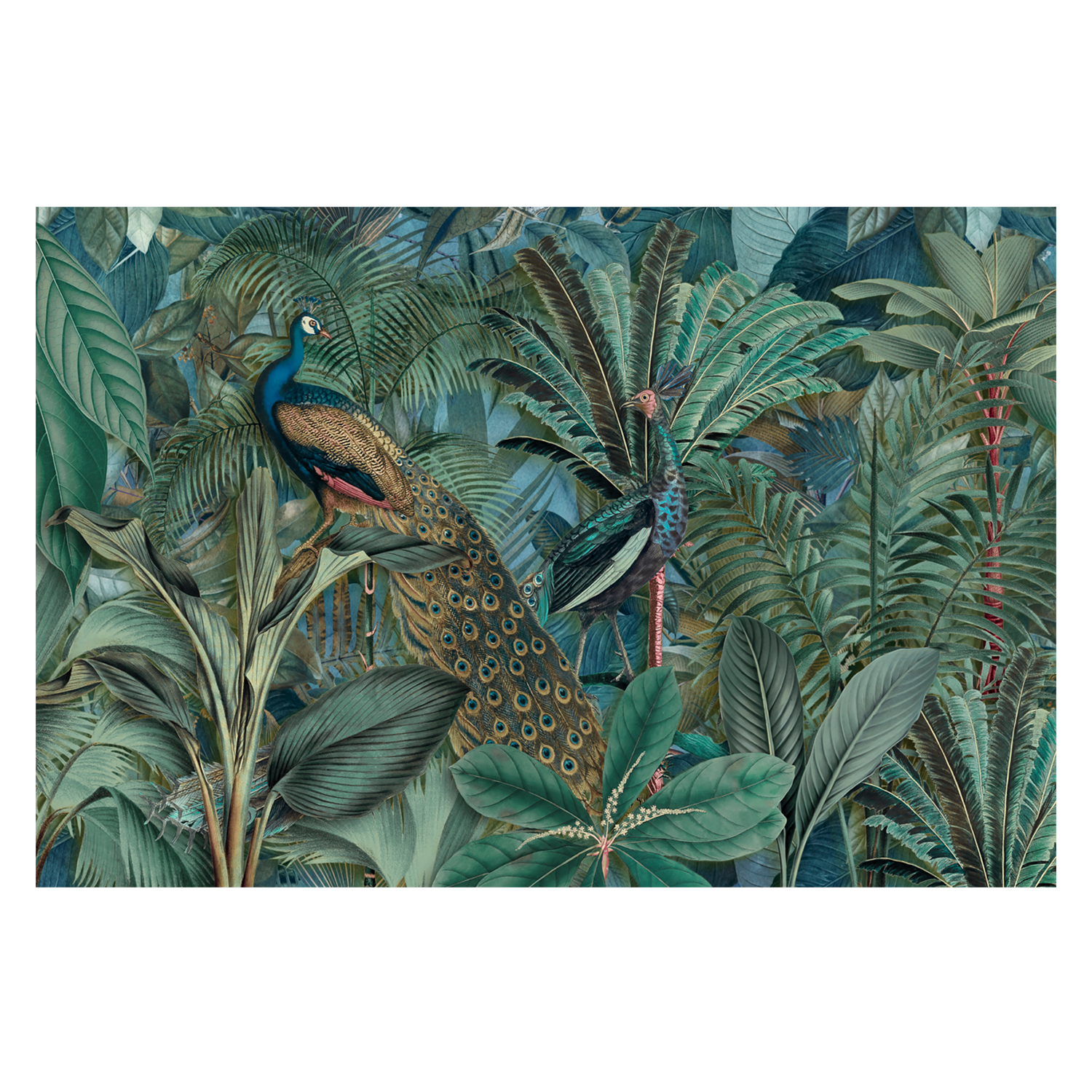 wall-art-print-canvas-poster-framed-Jungle Birds In Green, By Andrea Haase-GIOIA-WALL-ART