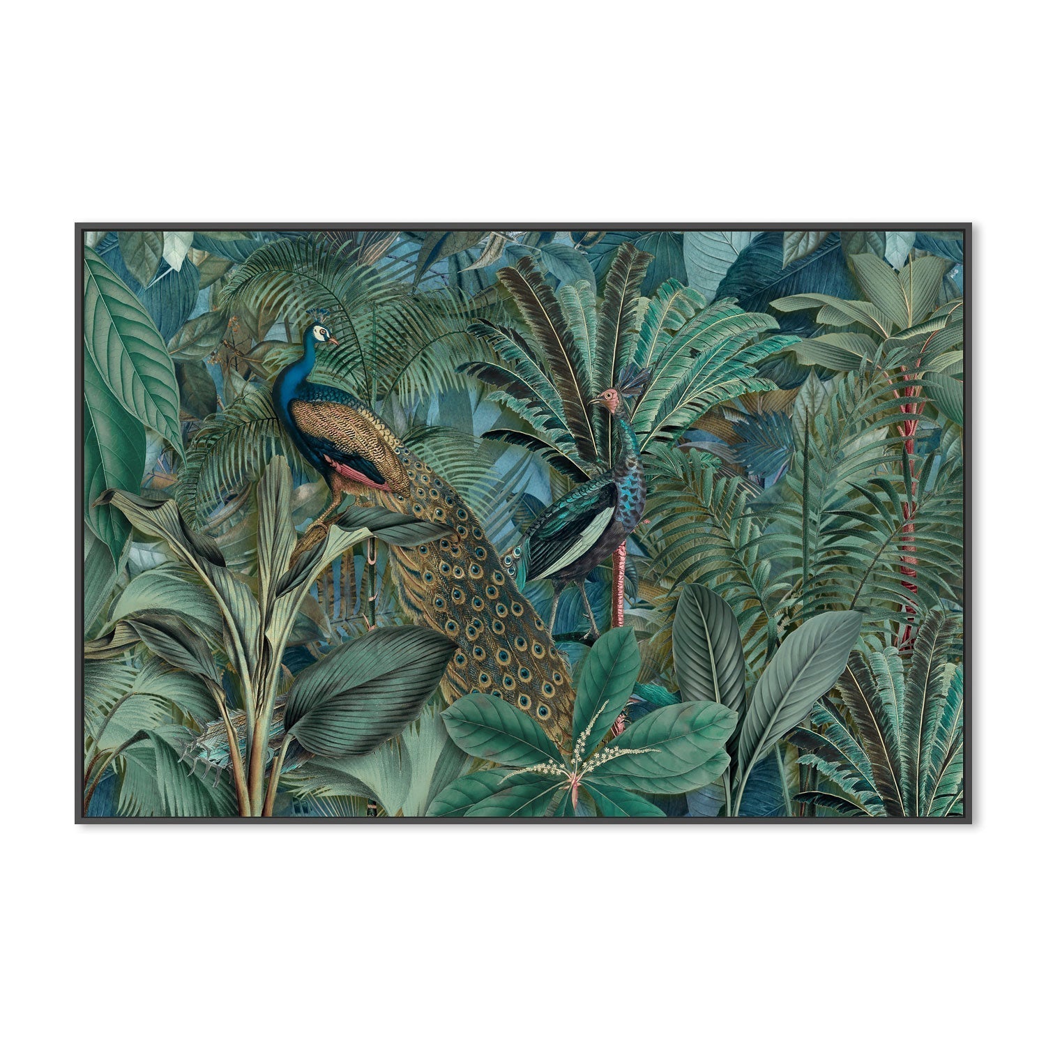 wall-art-print-canvas-poster-framed-Jungle Birds In Green, By Andrea Haase-GIOIA-WALL-ART