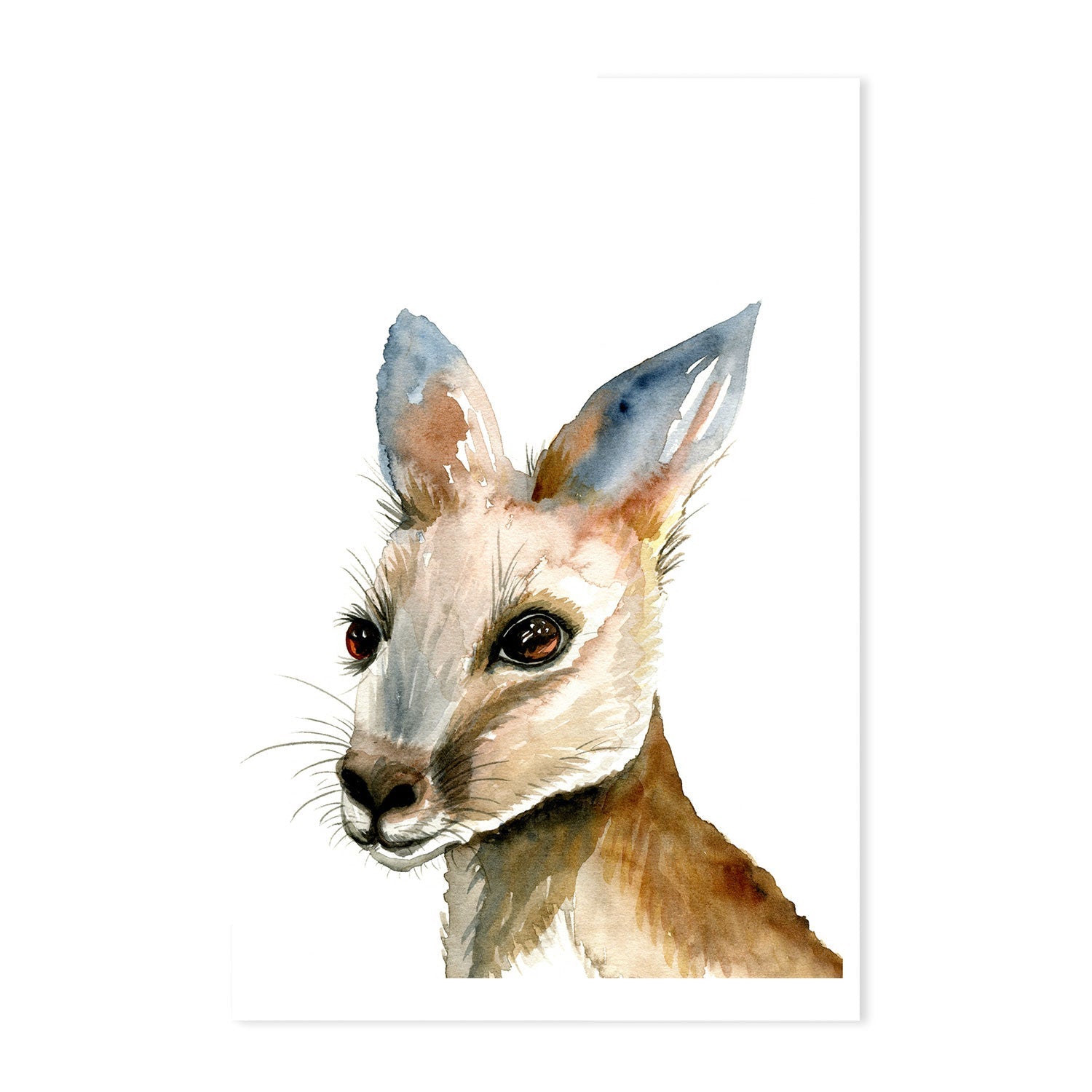 wall-art-print-canvas-poster-framed-Kangaroo , By Jessie Mitchelson-GIOIA-WALL-ART