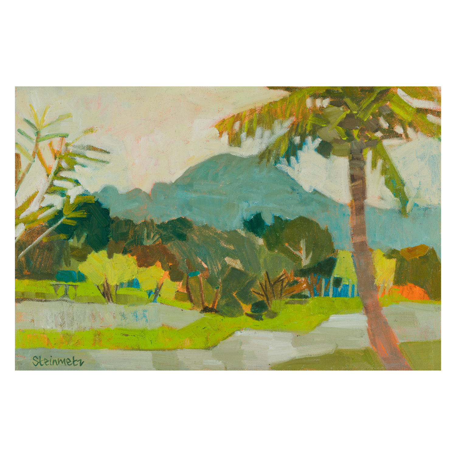 wall-art-print-canvas-poster-framed-Kilohana With Coconuts Kauai , By Liana Steinmetz-1