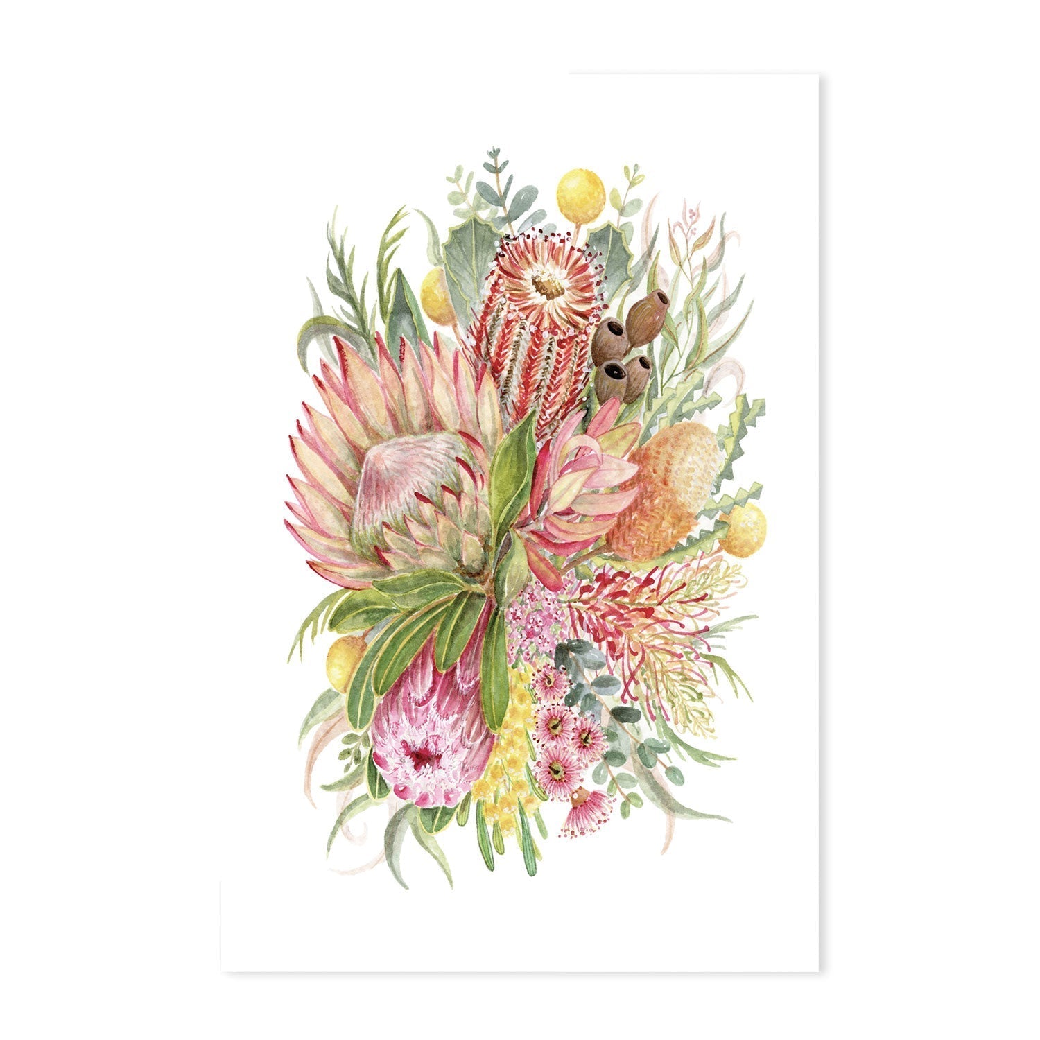 wall-art-print-canvas-poster-framed-King Protea And Banksia, Style A , By Jessie Mitchelson-GIOIA-WALL-ART