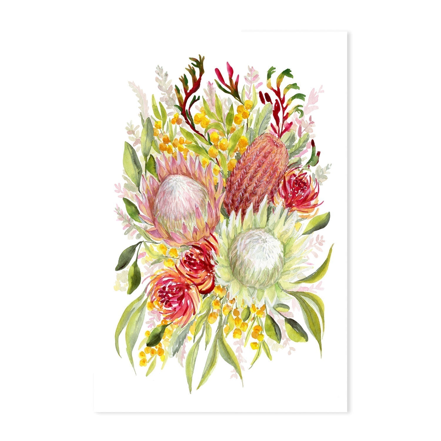 wall-art-print-canvas-poster-framed-King Protea And Banksia, Style B , By Jessie Mitchelson-GIOIA-WALL-ART