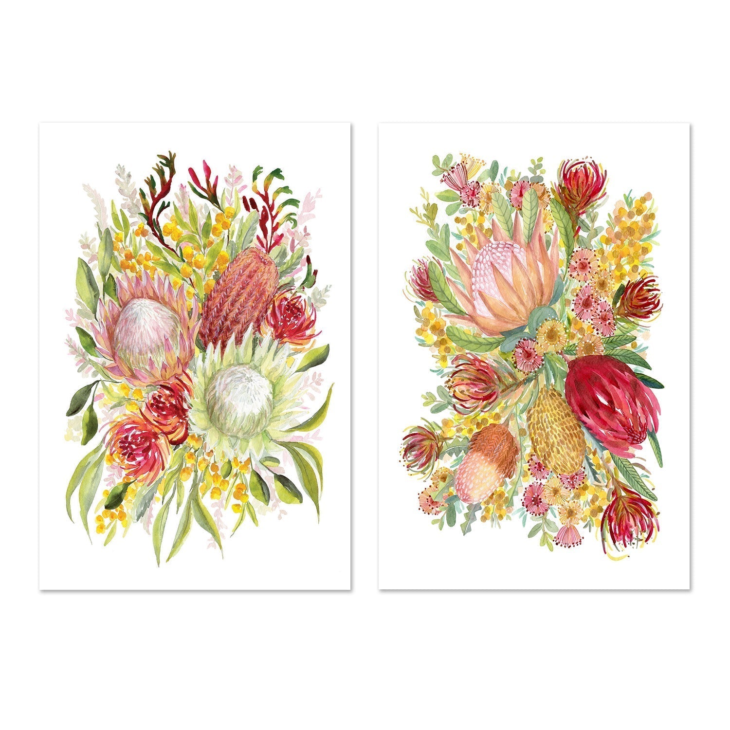 wall-art-print-canvas-poster-framed-King Protea And Banksia, Style B & D, Set of 2 , By Jessie Mitchelson-GIOIA-WALL-ART