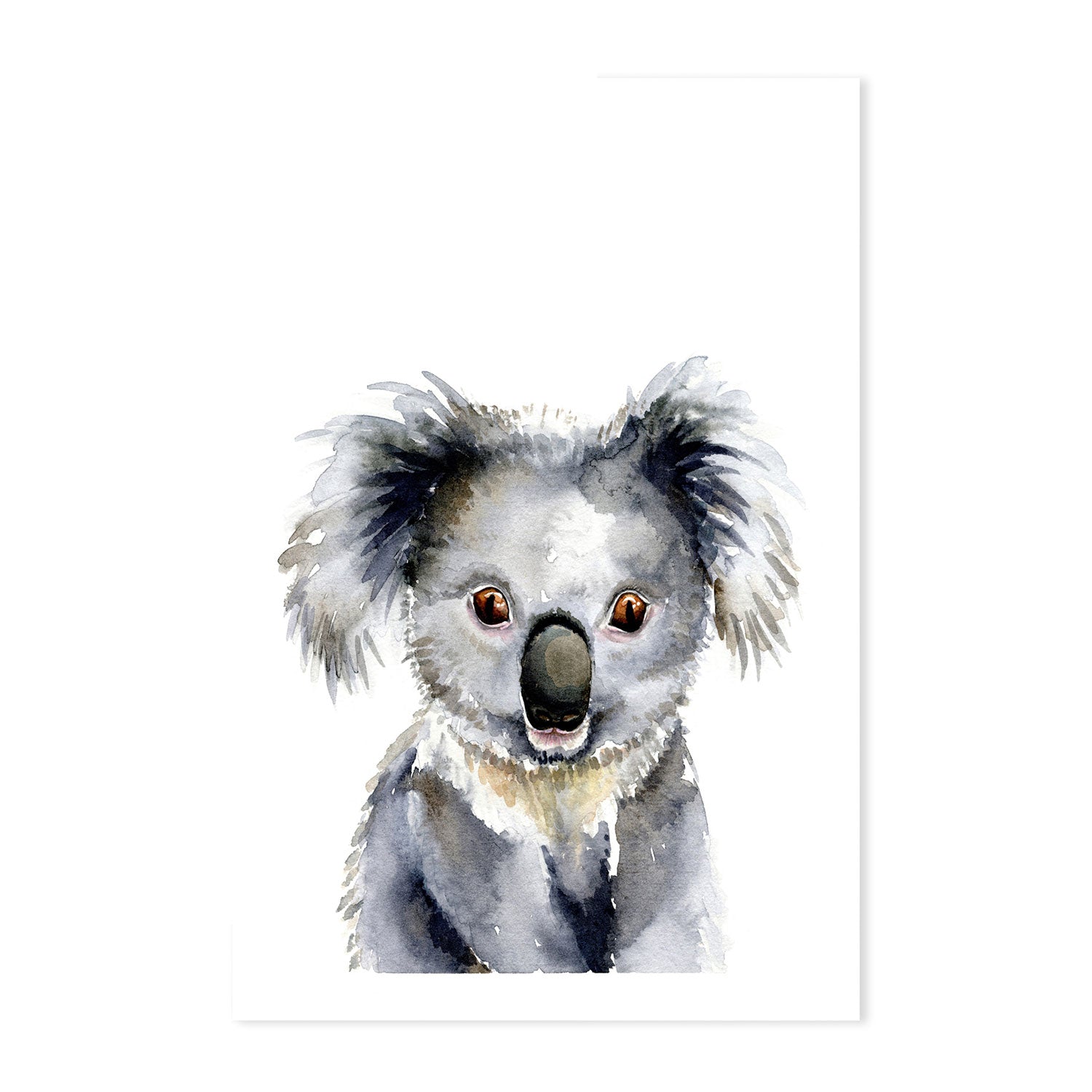 wall-art-print-canvas-poster-framed-Koala , By Jessie Mitchelson-GIOIA-WALL-ART