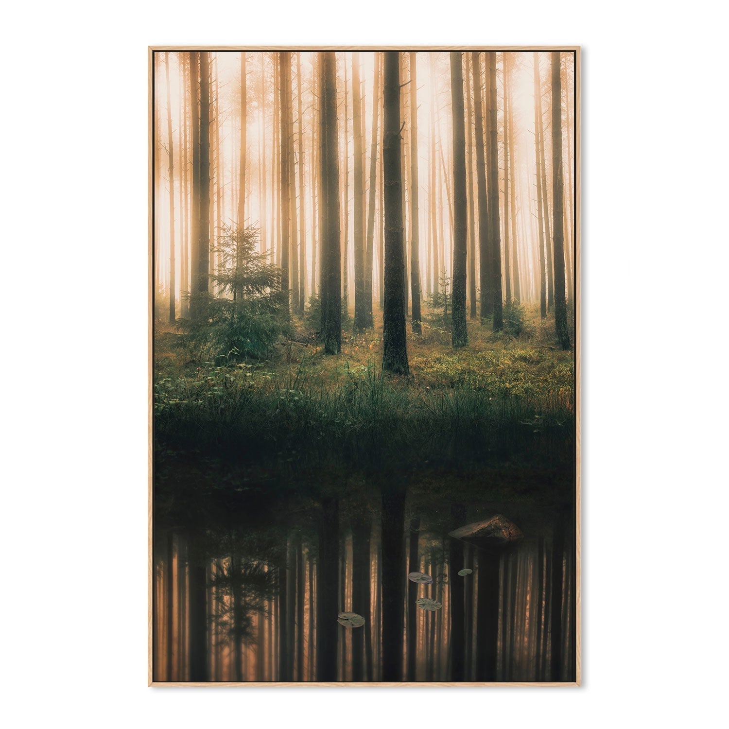 wall-art-print-canvas-poster-framed-Lake Reflection , By Christian Lindsten-GIOIA-WALL-ART