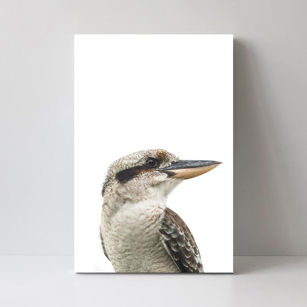 wall-art-print-canvas-poster-framed-Laughing Kookaburra And Koala, Set Of 2-by-Gioia Wall Art-Gioia Wall Art