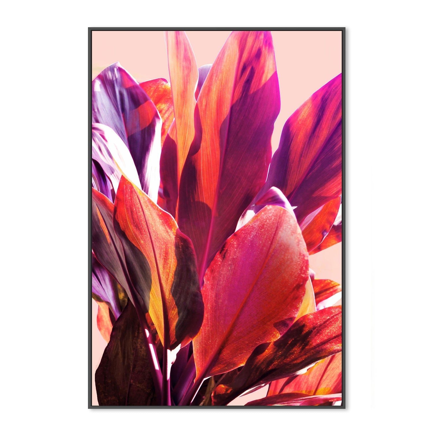 wall-art-print-canvas-poster-framed-Leaves, Style A , By Hope Bainbridge-3