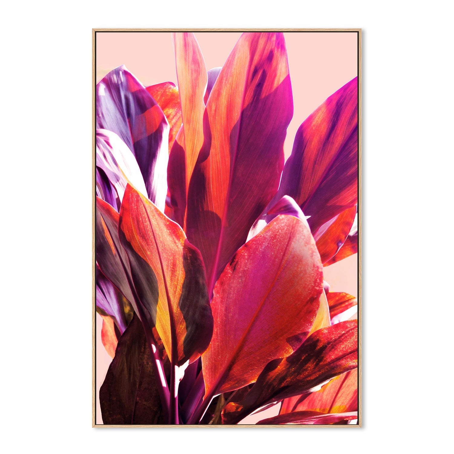 wall-art-print-canvas-poster-framed-Leaves, Style A , By Hope Bainbridge-4