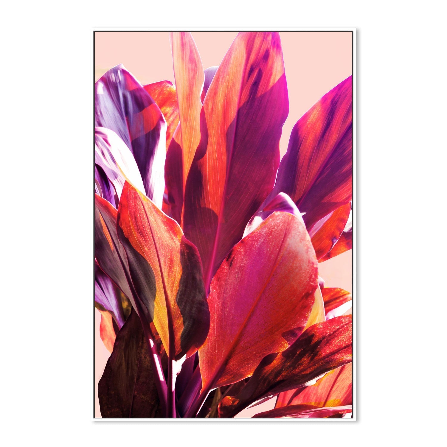 wall-art-print-canvas-poster-framed-Leaves, Style A , By Hope Bainbridge-5