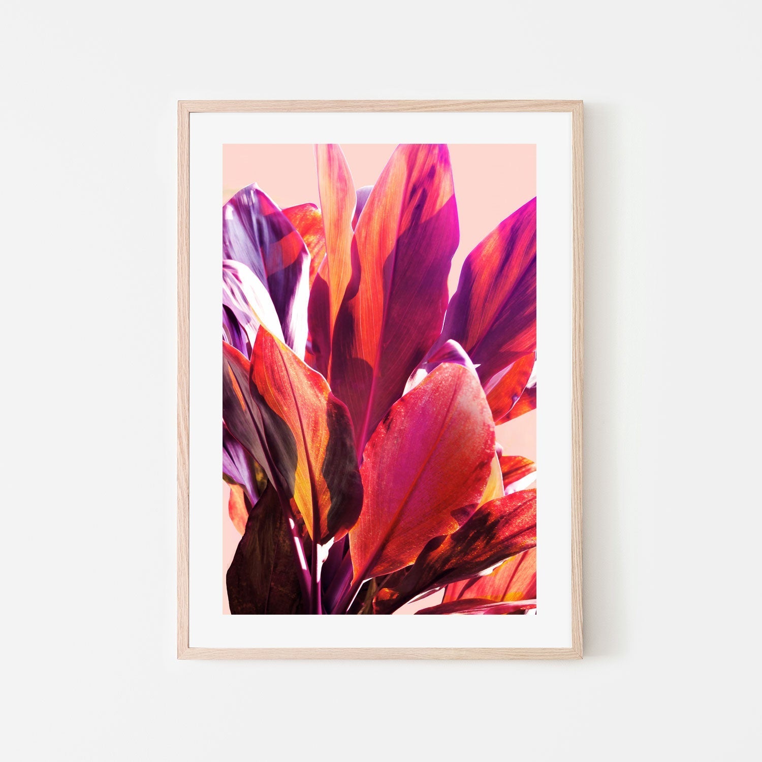 wall-art-print-canvas-poster-framed-Leaves, Style A , By Hope Bainbridge-6